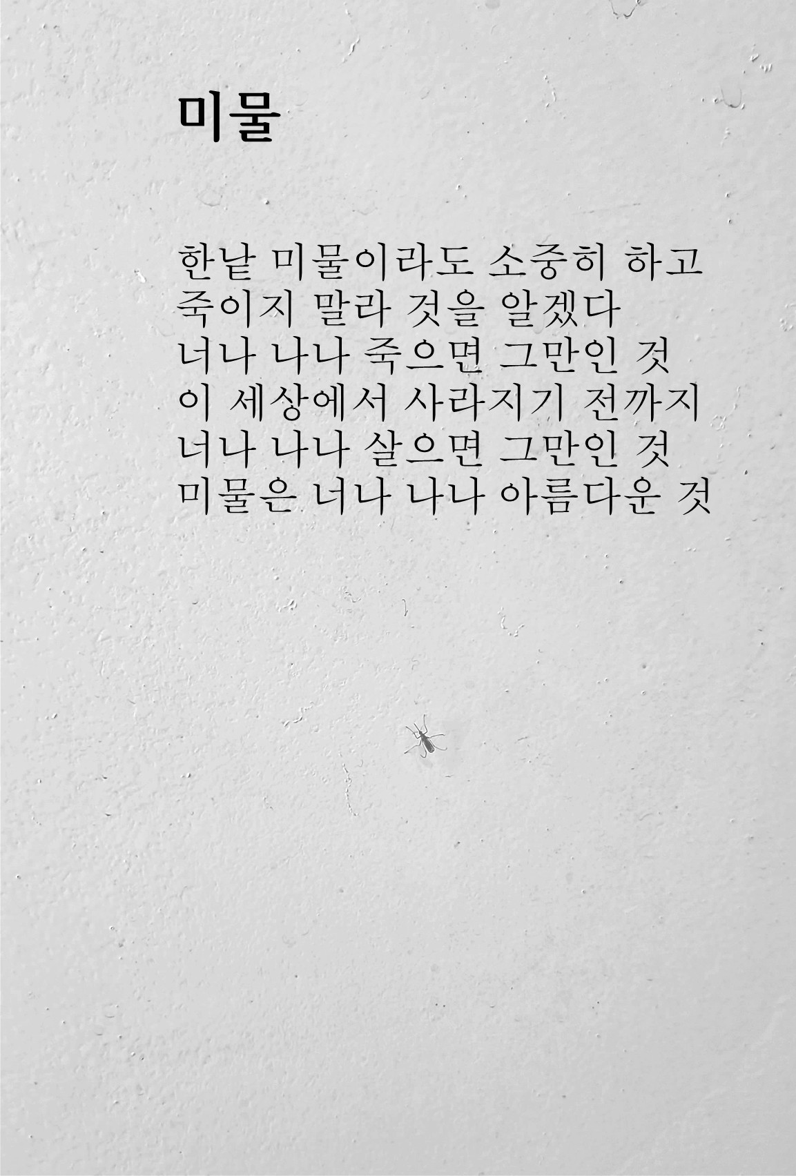 미물.jpg