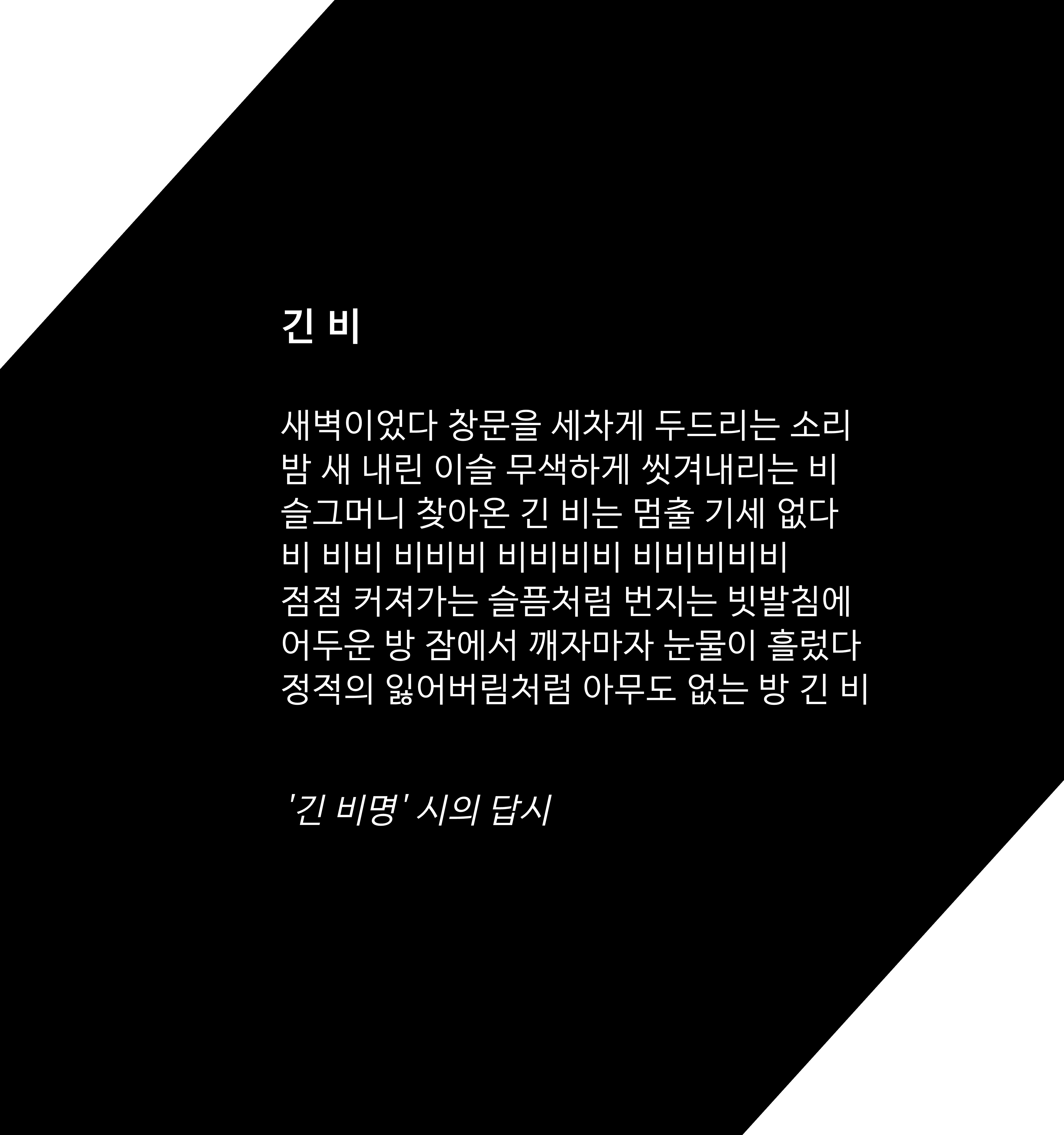 긴 비(긴 비명 시의 답시)_1.jpg