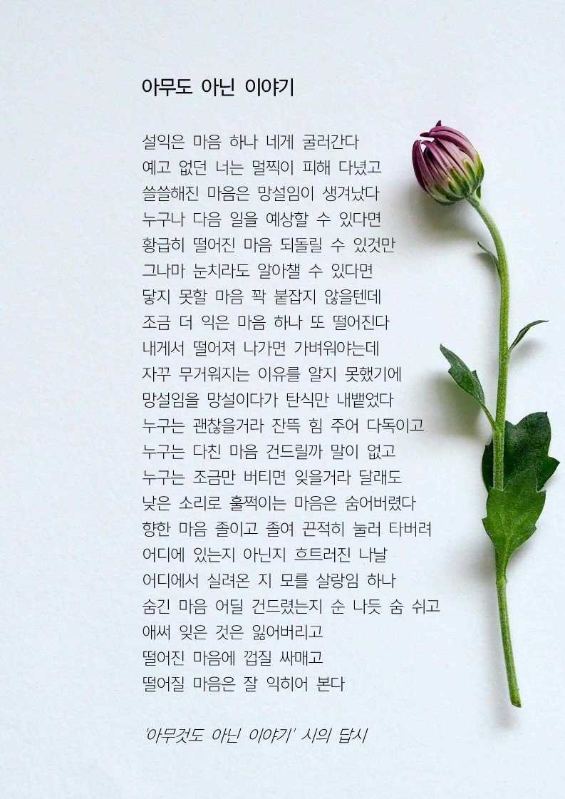 아무도 아닌 이야기.jpg