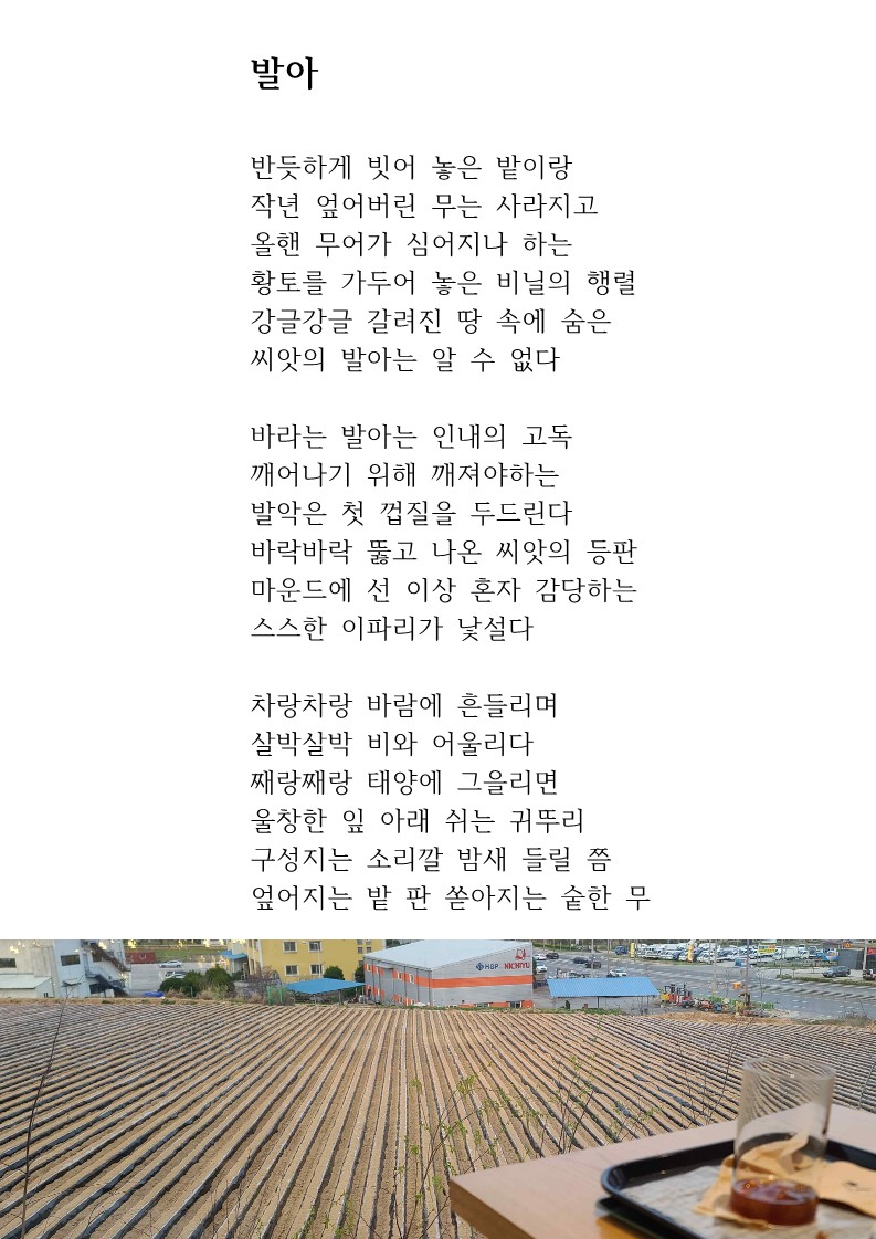 발아.jpg