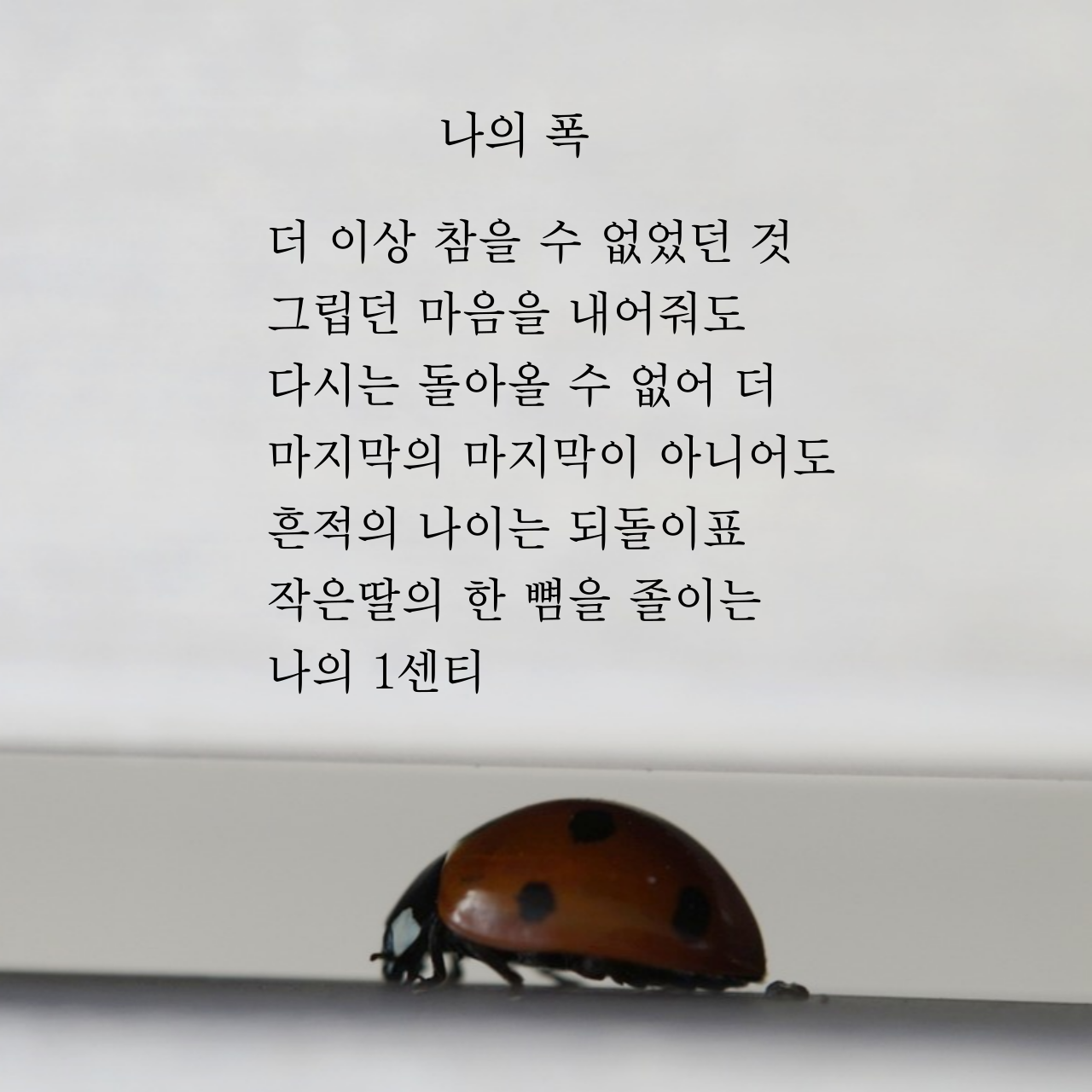 제목을-입력해주세요_-001 (57).png