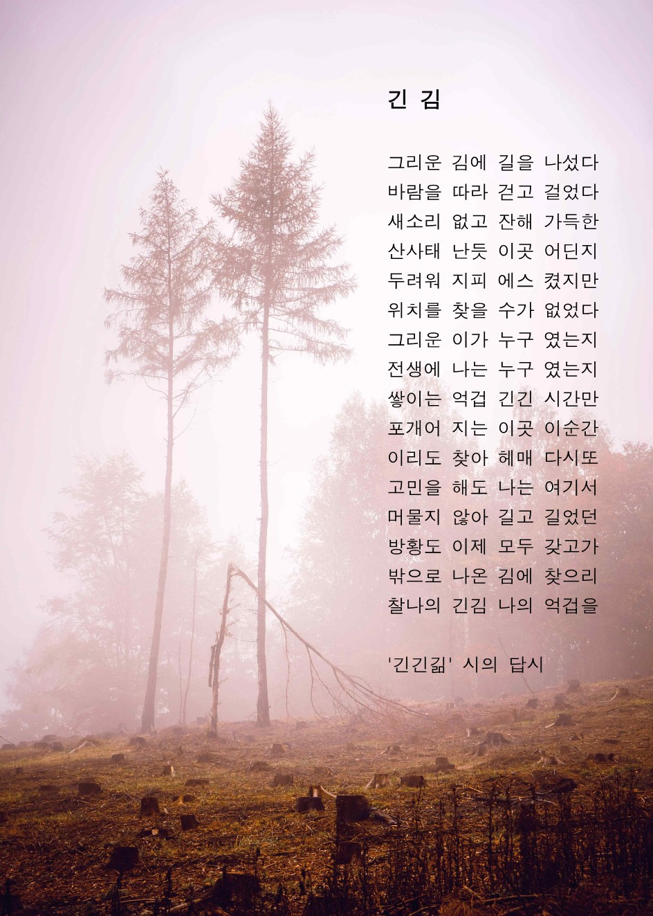 긴 김(긴긴긺 시의 답시).jpg
