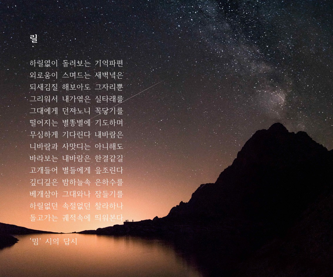릴(밈 시의 답시).jpg