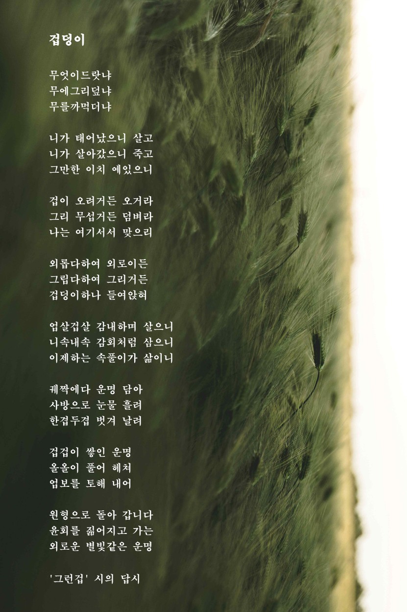 겁덩이(그런겁 시의 답시).jpg