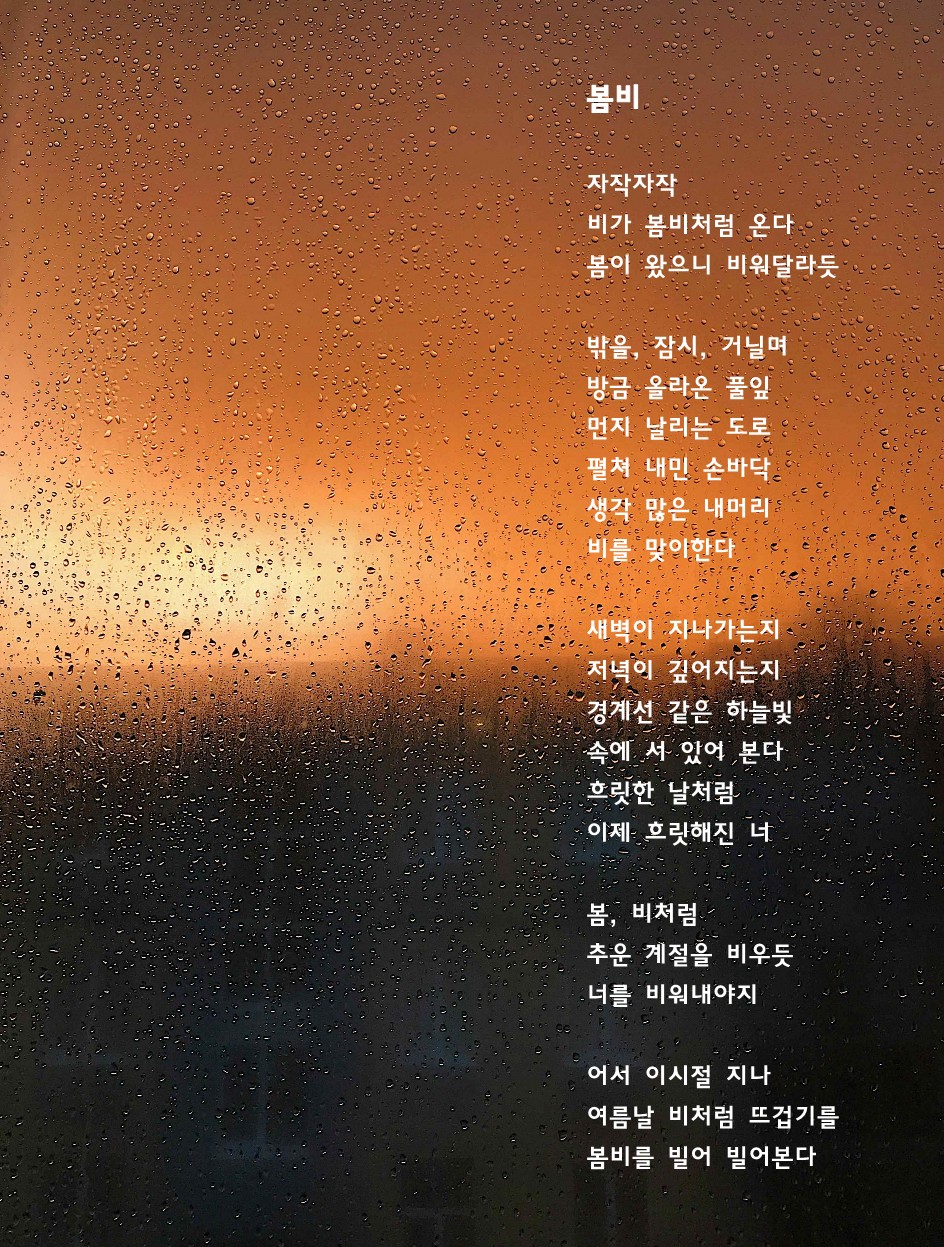 봄비.jpg