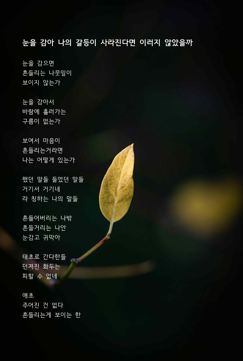 눈을 감아 나의 갈등이 사라진다면 이러지 않았을까.jpg