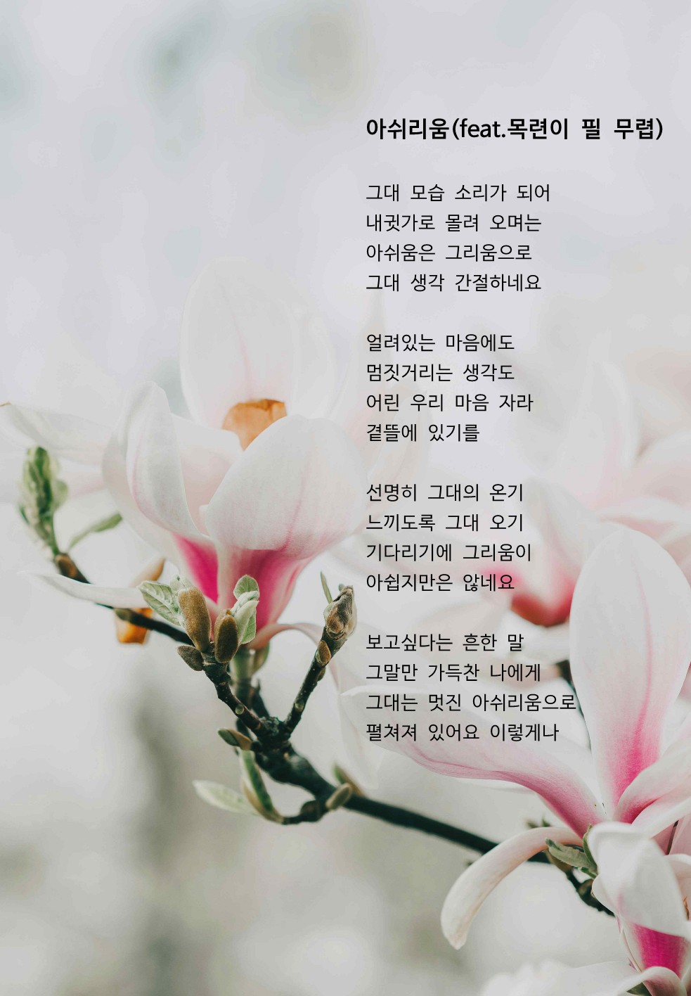 아쉬리움(feat.목련이 필 무렵).jpg