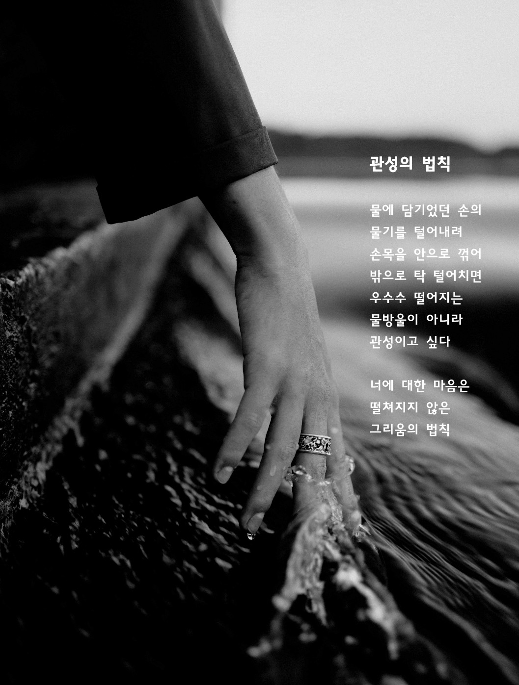 관성의 법칙.jpg