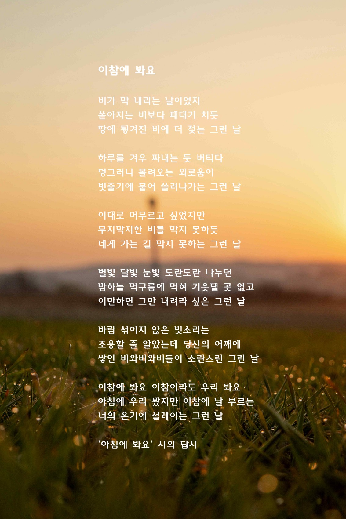 이참에 봐요(아침에 봐요 시의 답시).jpg