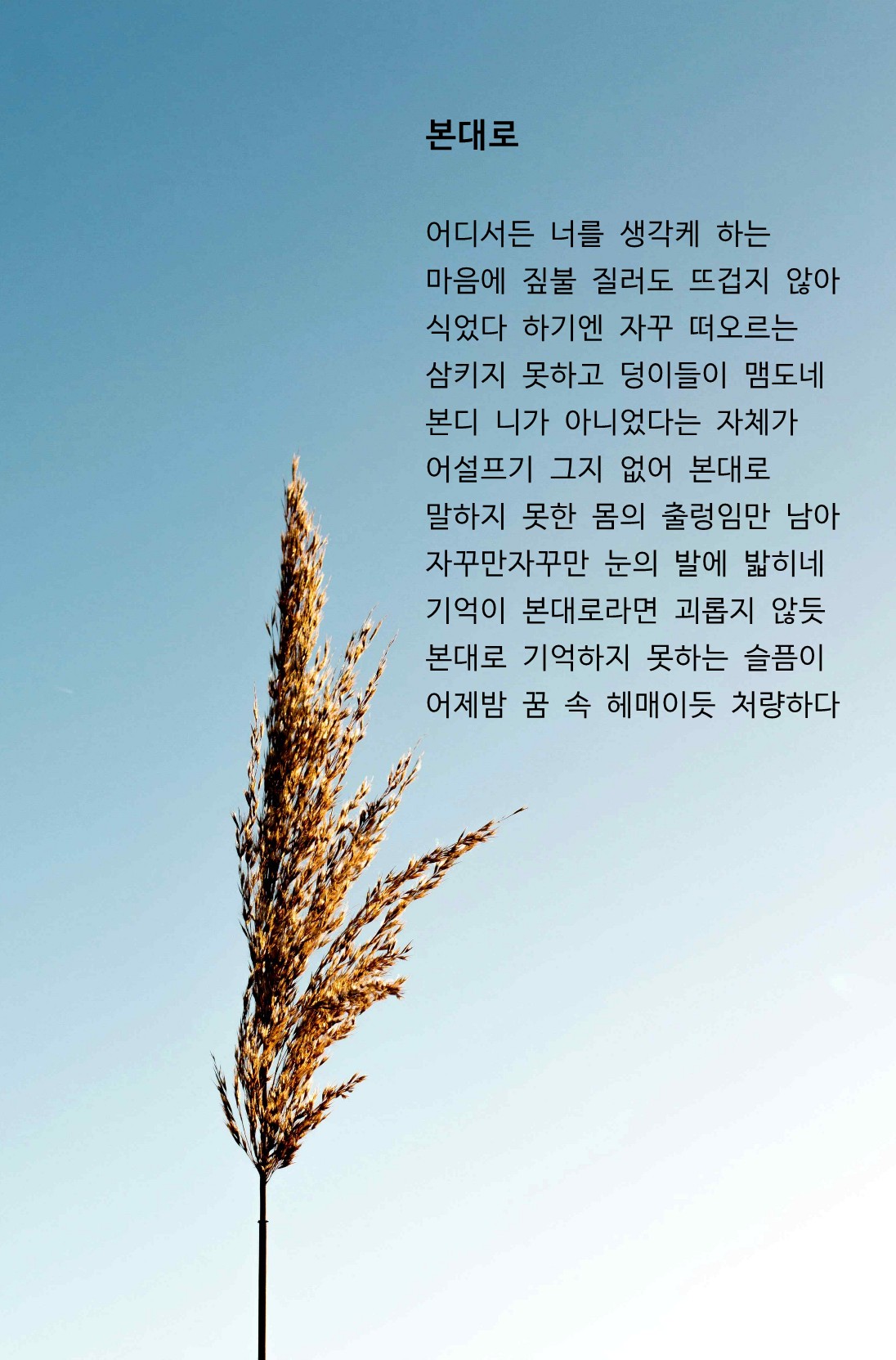 본대로.jpg