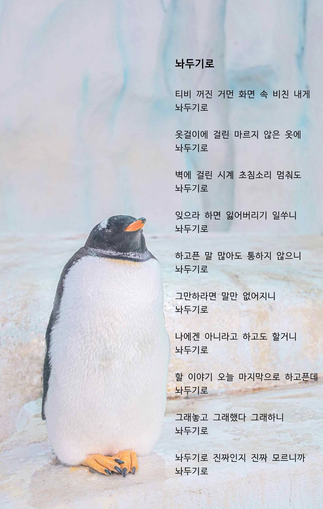 놔두기로.jpg