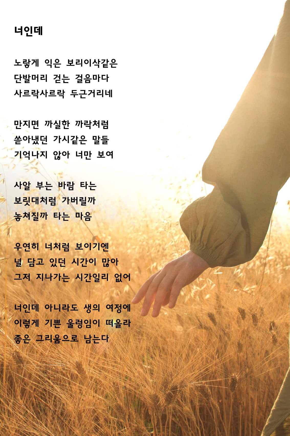 너인데.jpg
