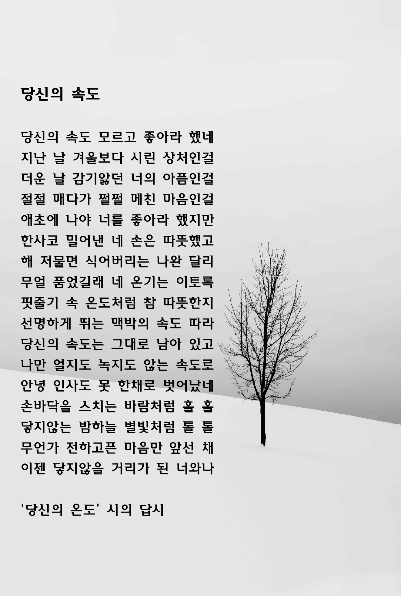 당신의 속도(당신의 온도 시의 답시).jpg