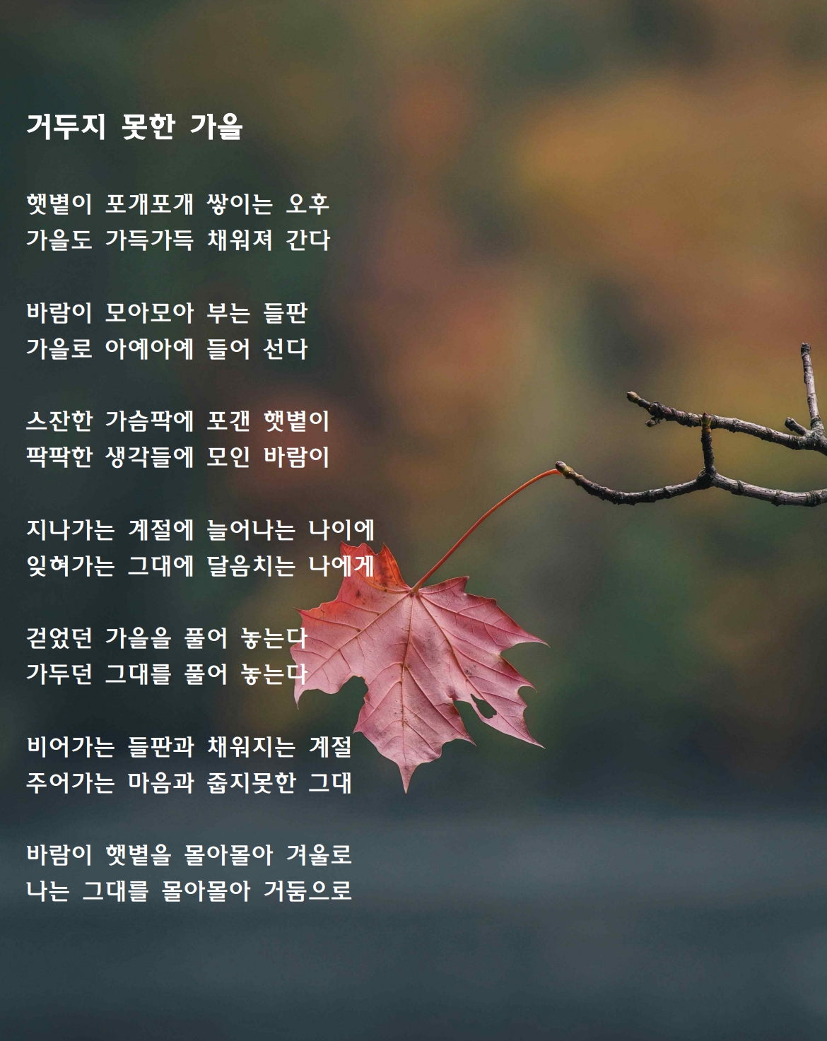 거두지 못한 가을.jpg