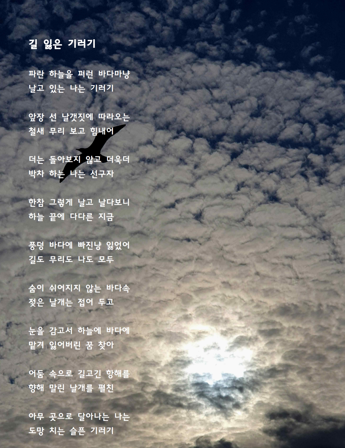 길 잃은 기러기.jpg