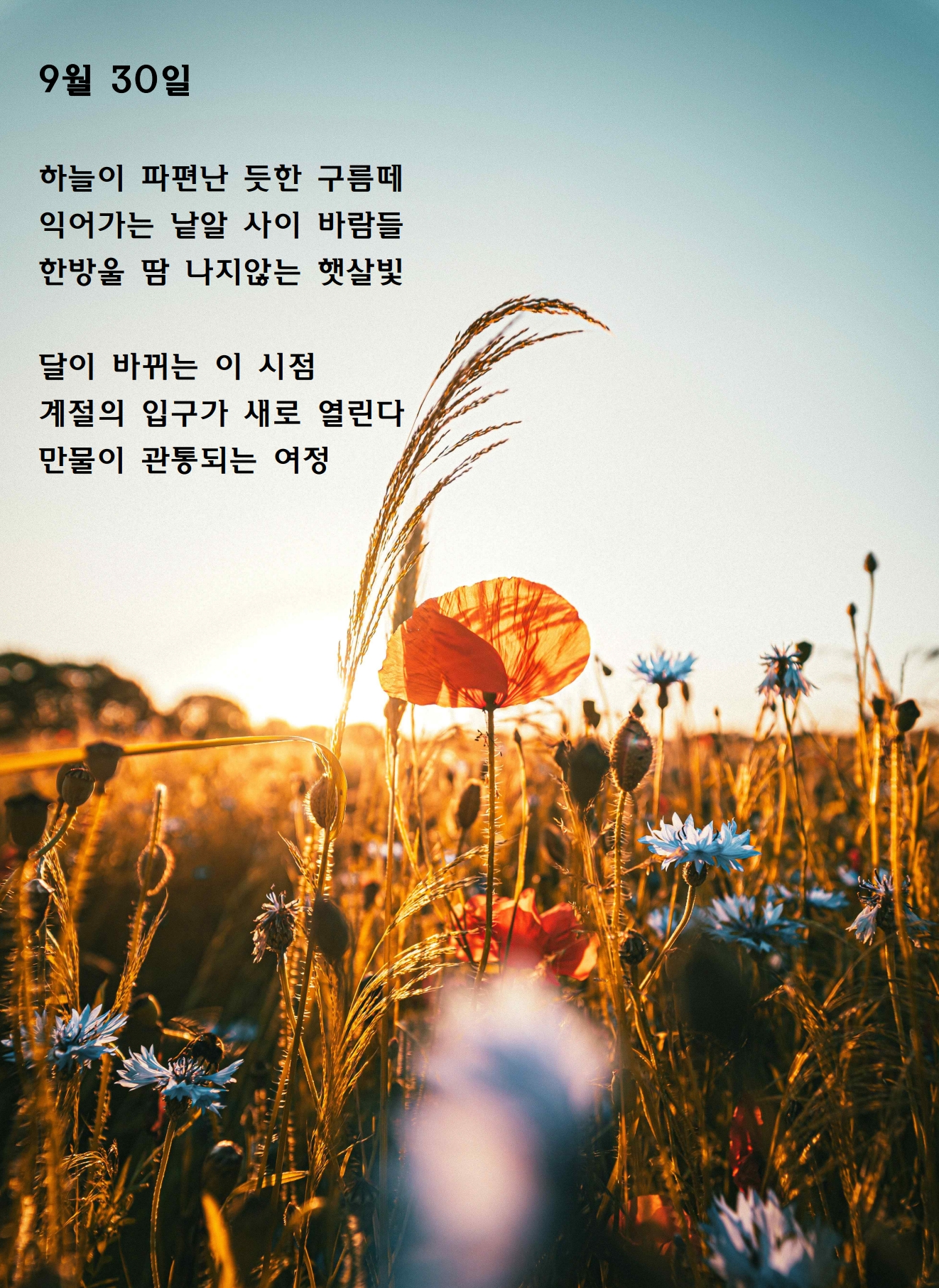 9월 30일.jpg