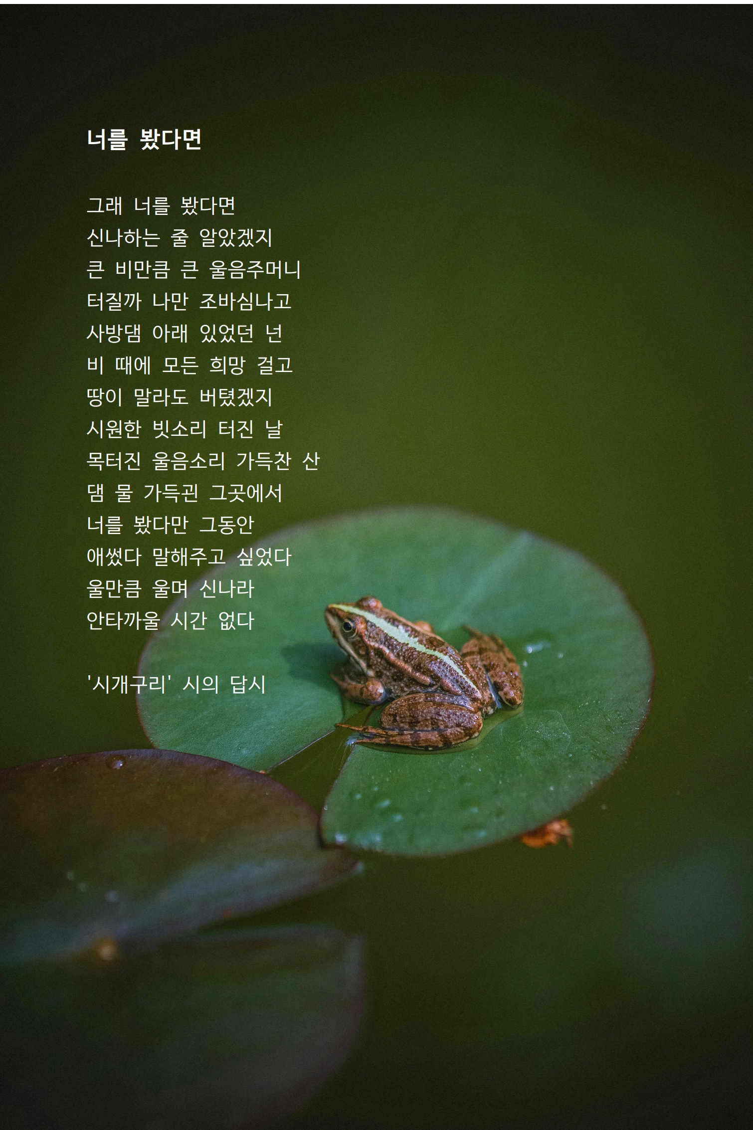 너를 봤다면(시개구리 시의 답시).jpg