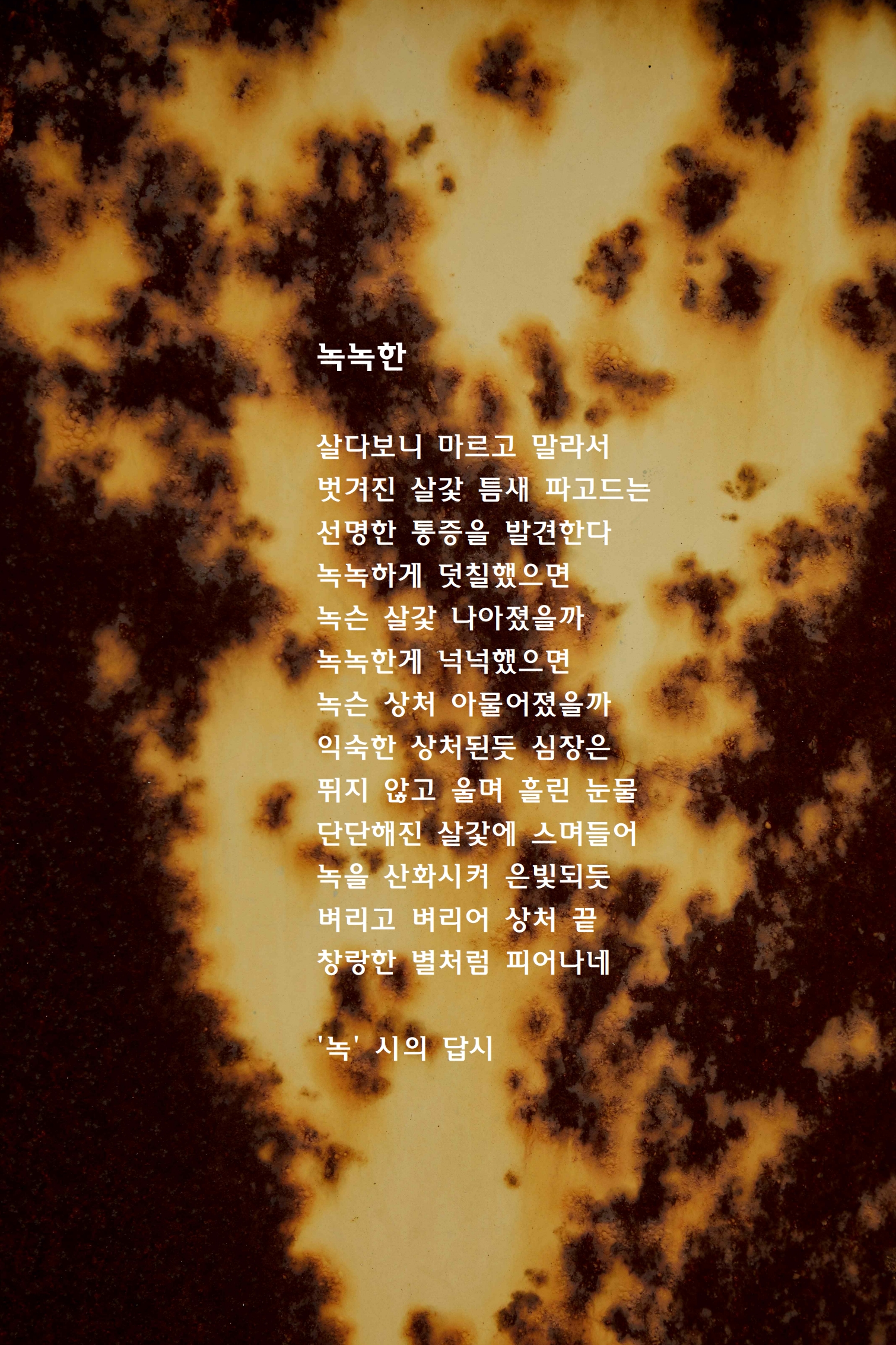녹녹한.jpg