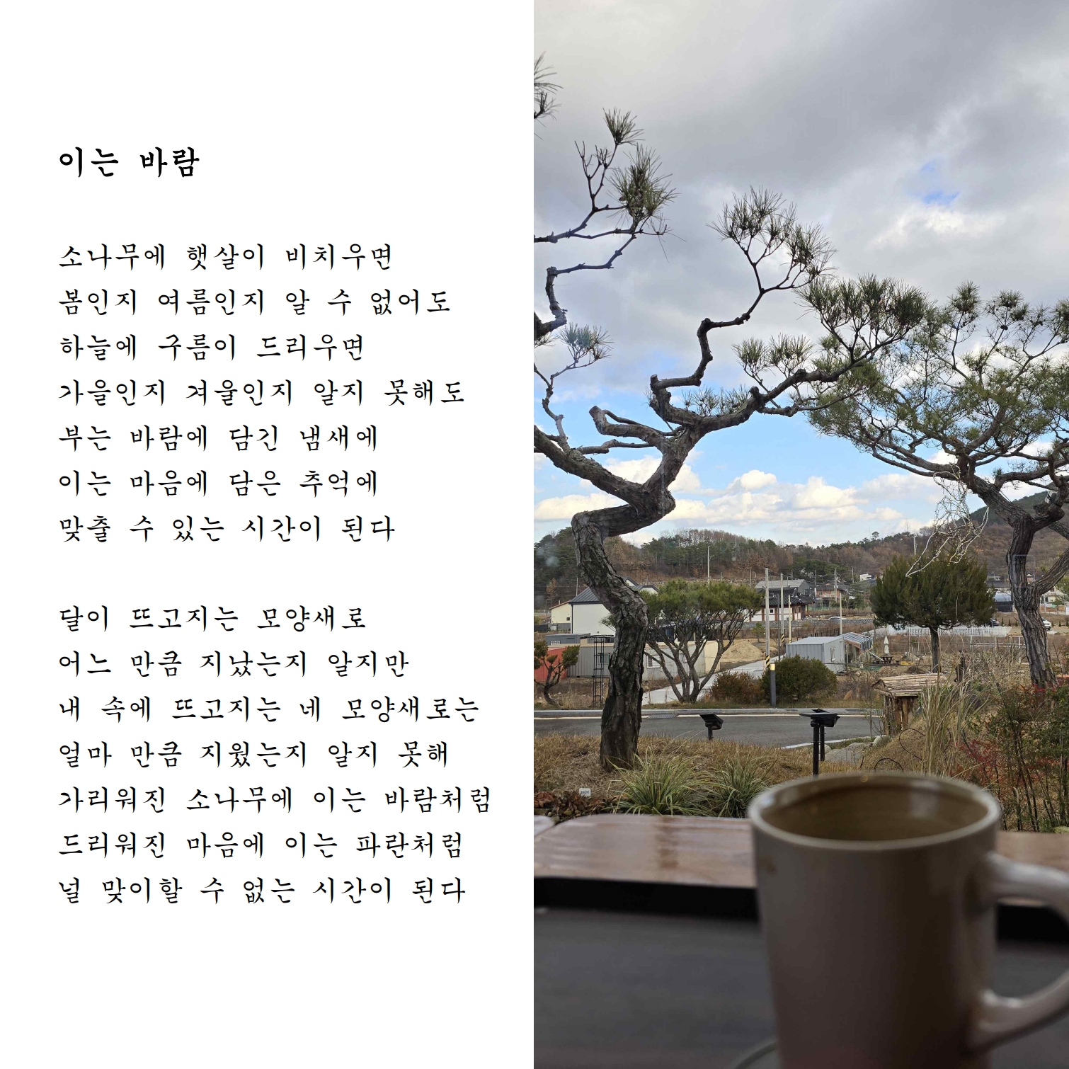 이는 바람.jpg