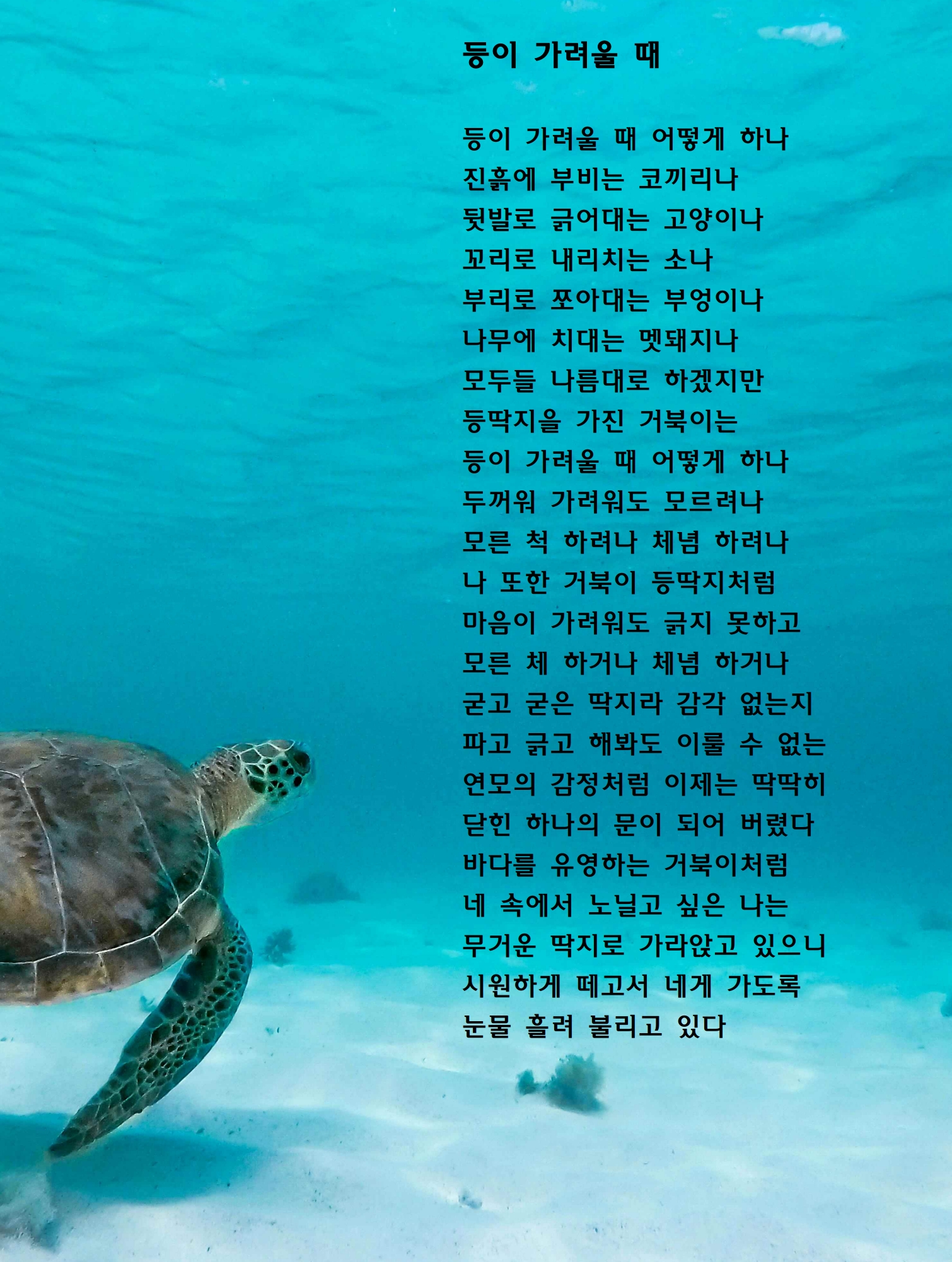 등이 가려울 때.jpg