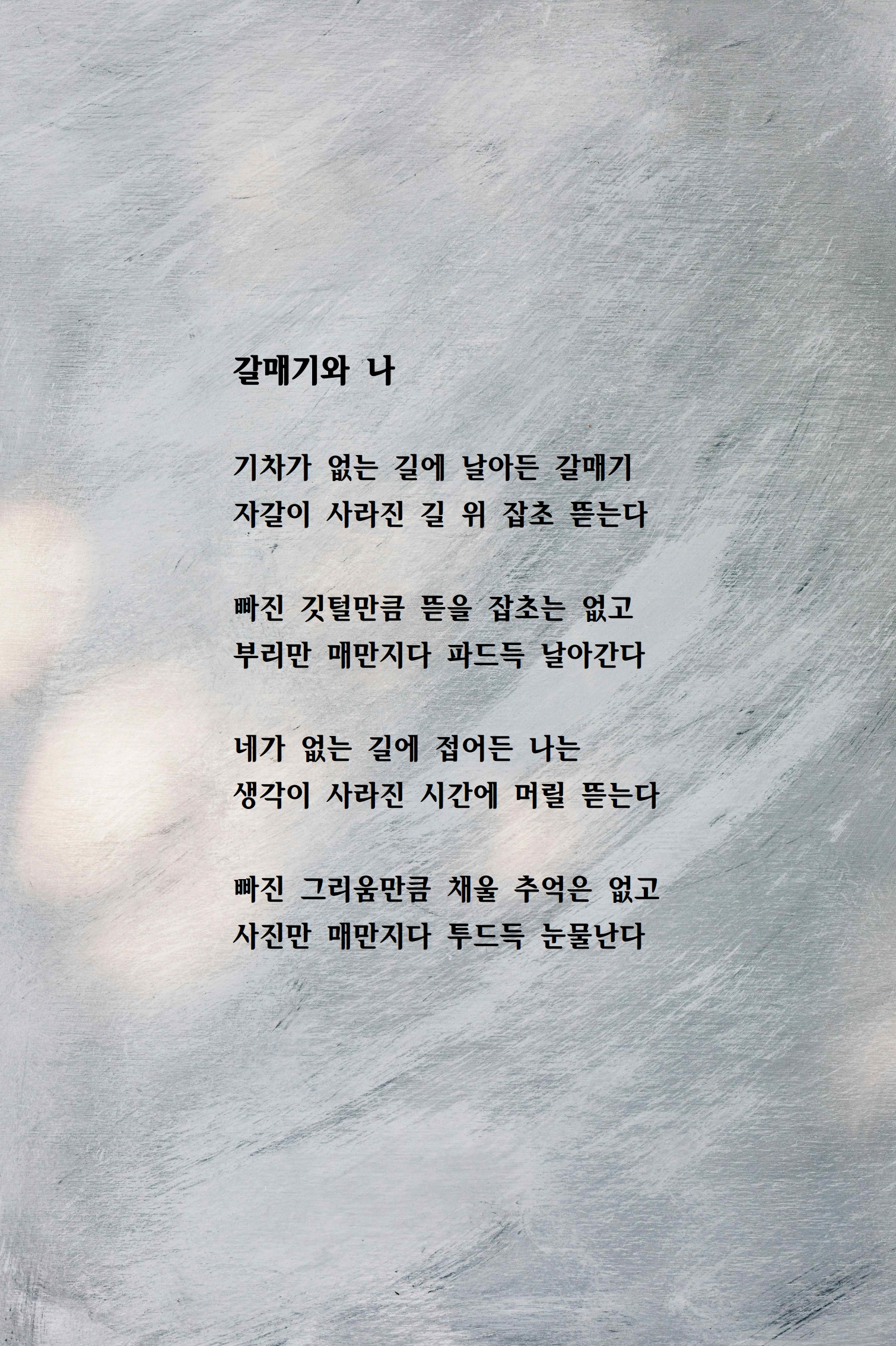 갈매기와 나.jpg