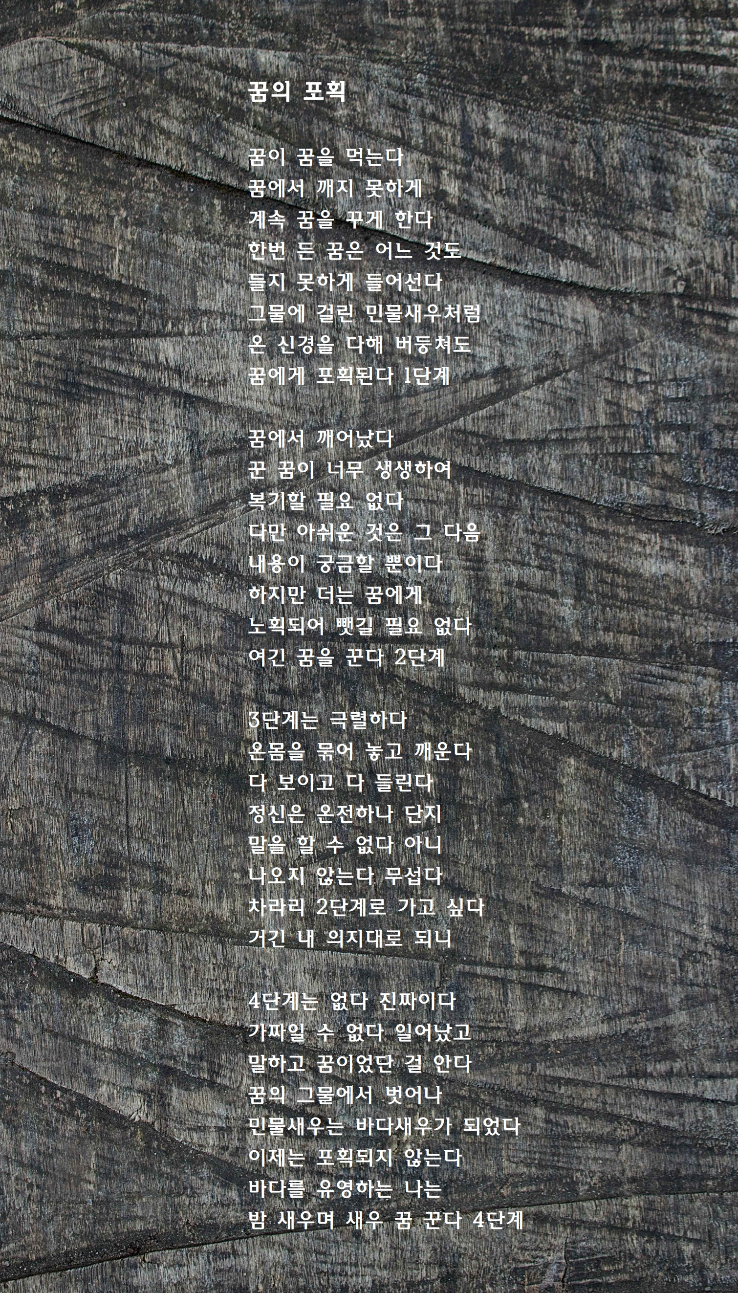 꿈의 포획.jpg