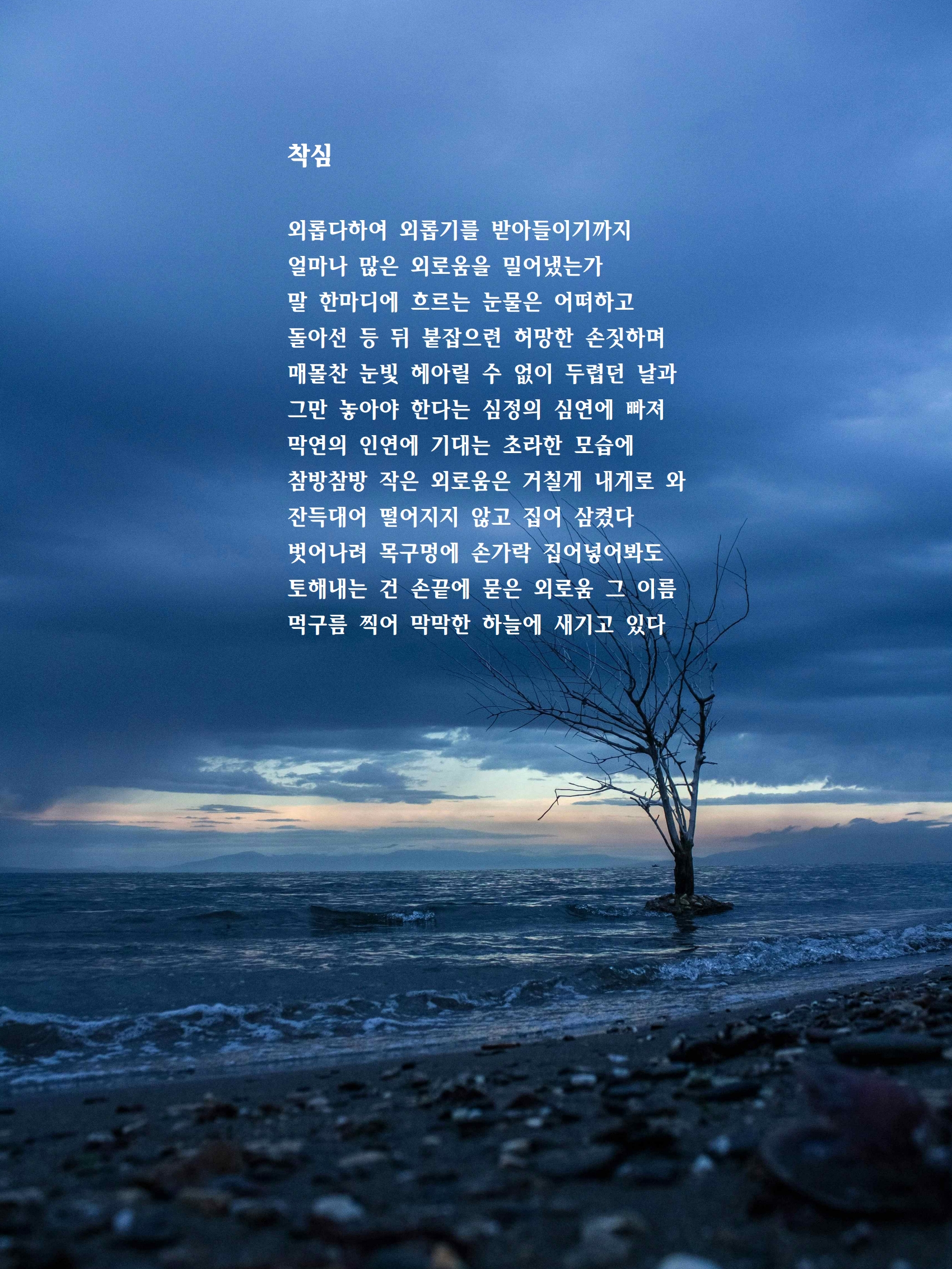 착심.jpg