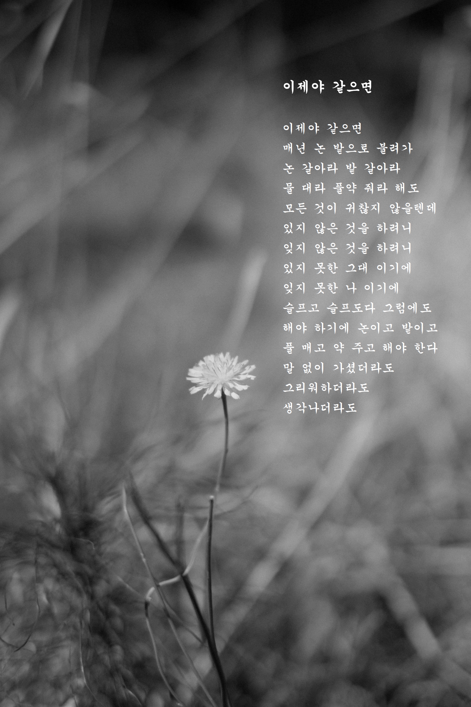 이제야 같으면.jpg