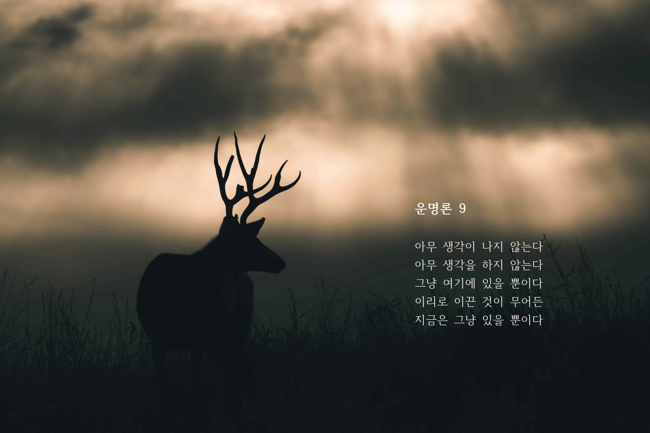 운명론 9.jpg
