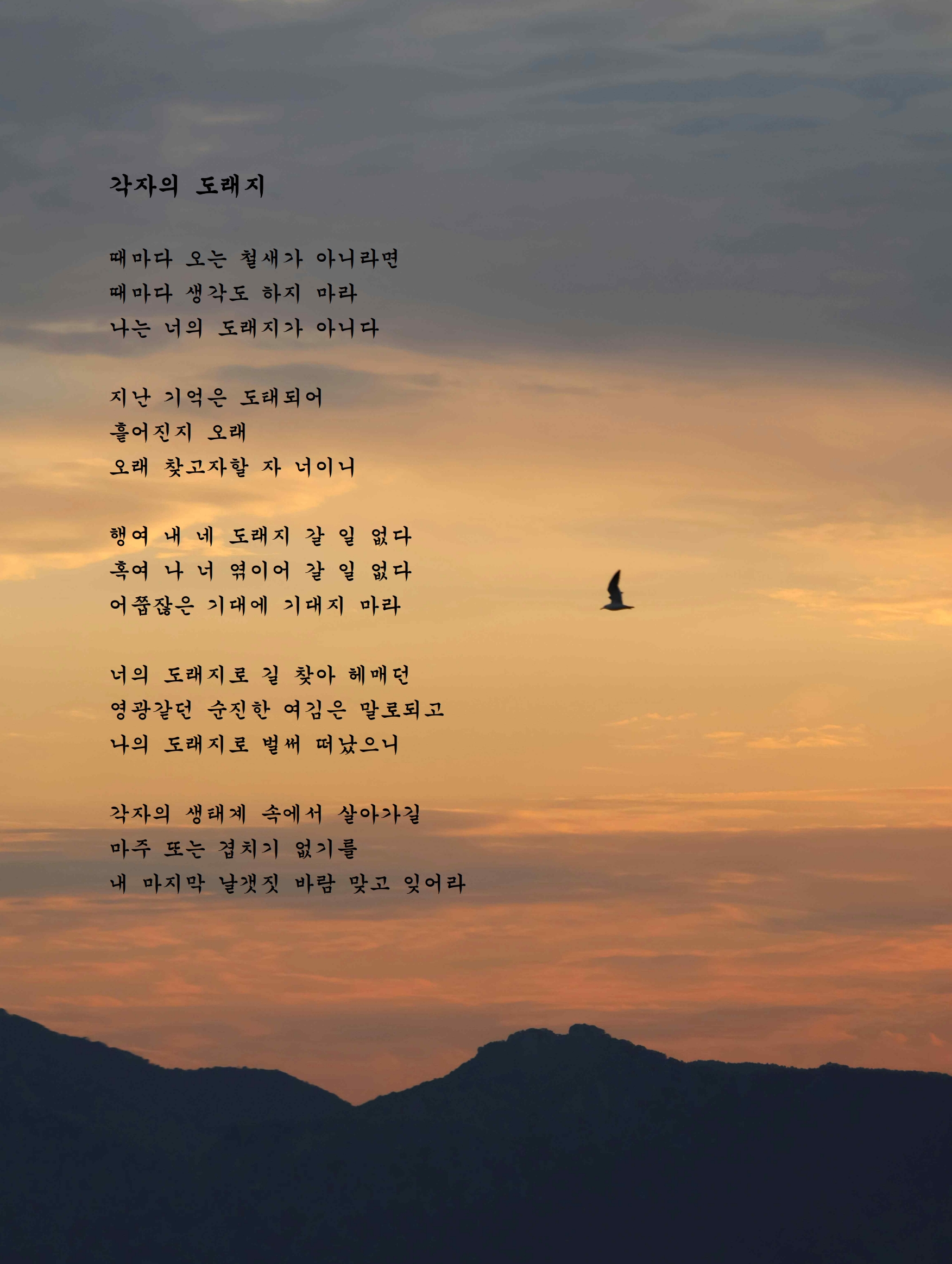 각자의 도래지.jpg