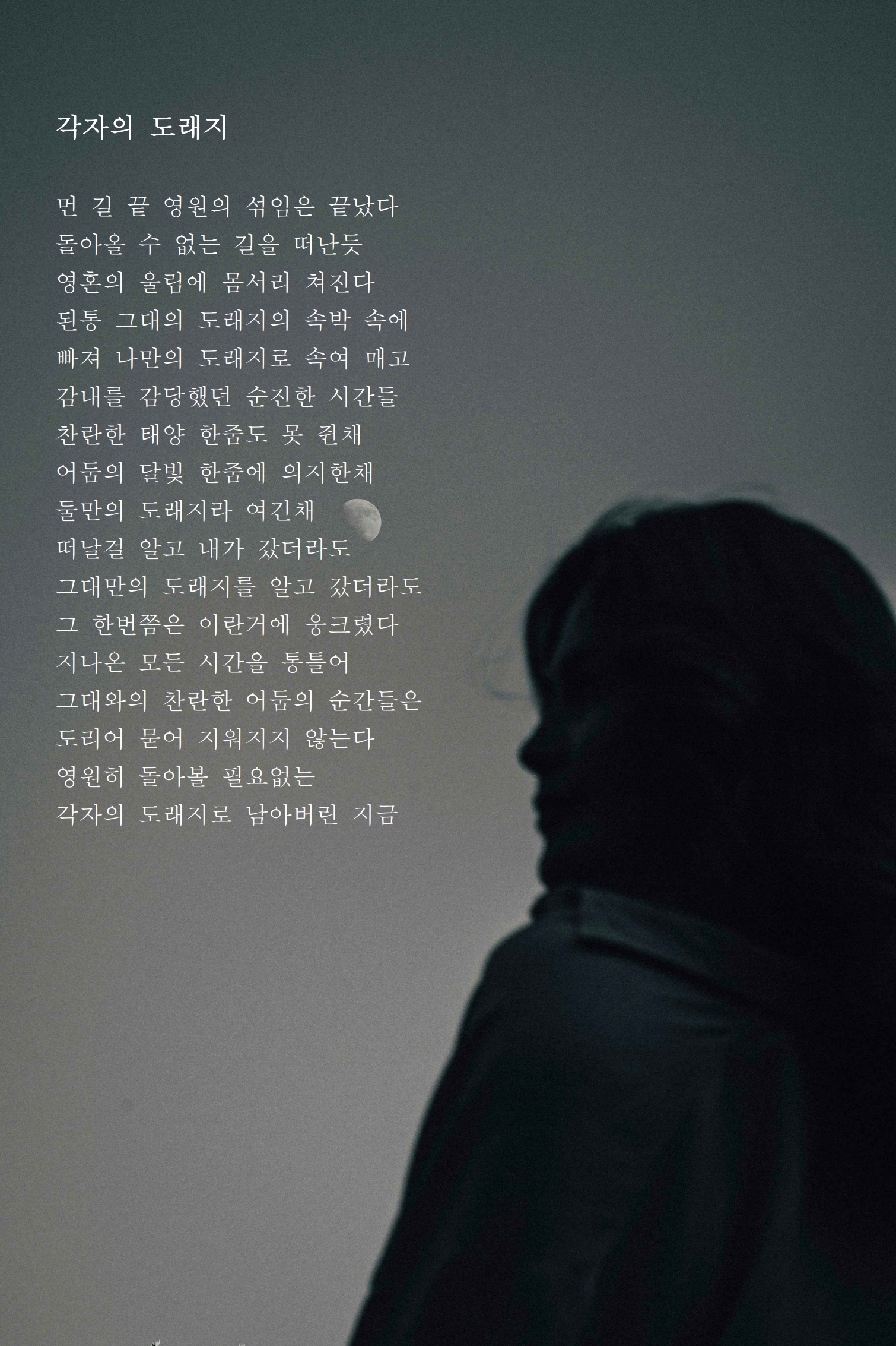 각자의 도래지.jpg