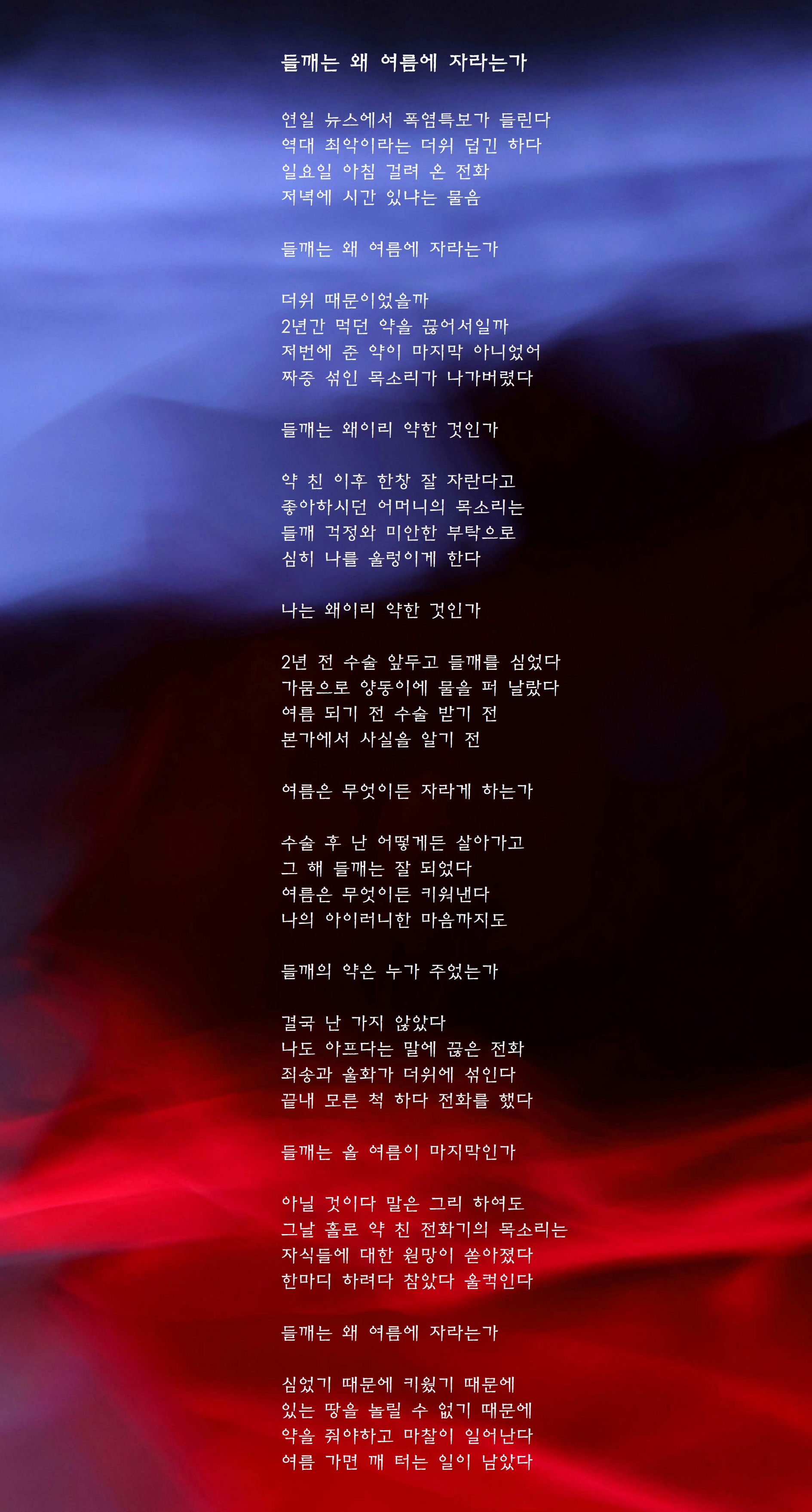 들깨는 왜 여름에 자라는가.jpg