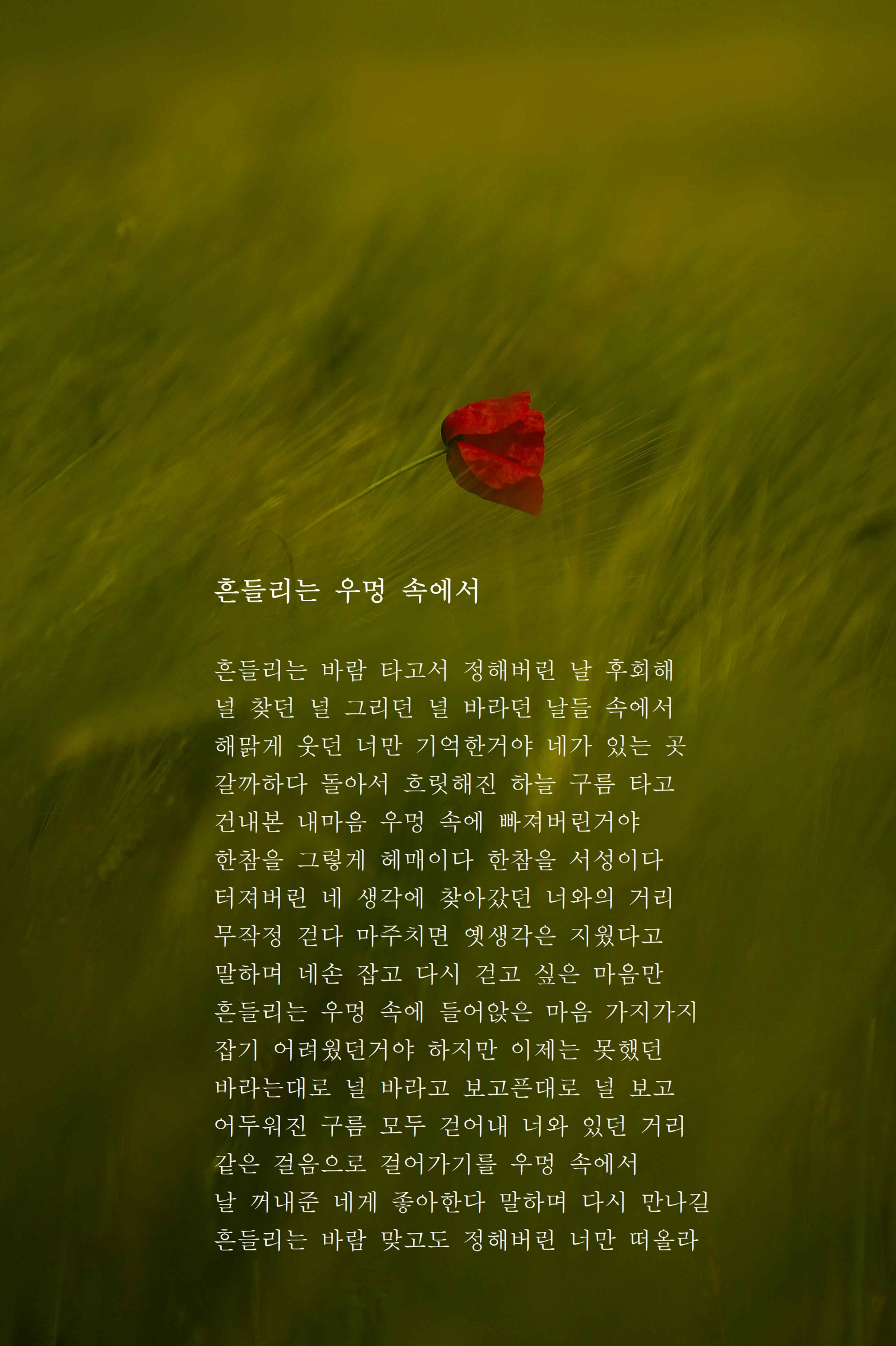 흔들리는 우멍 속에서.jpg