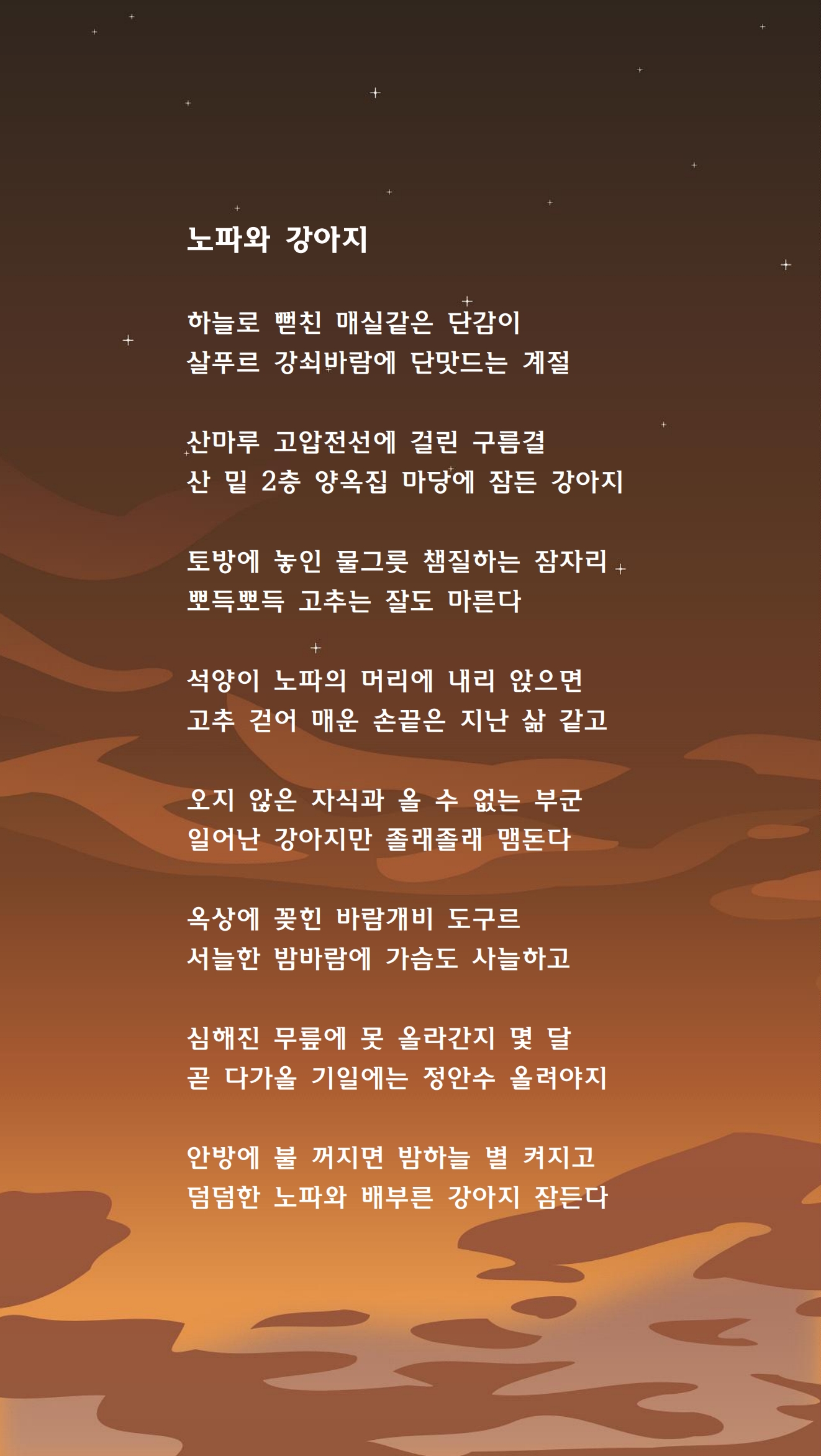 노파와 강아지.jpg