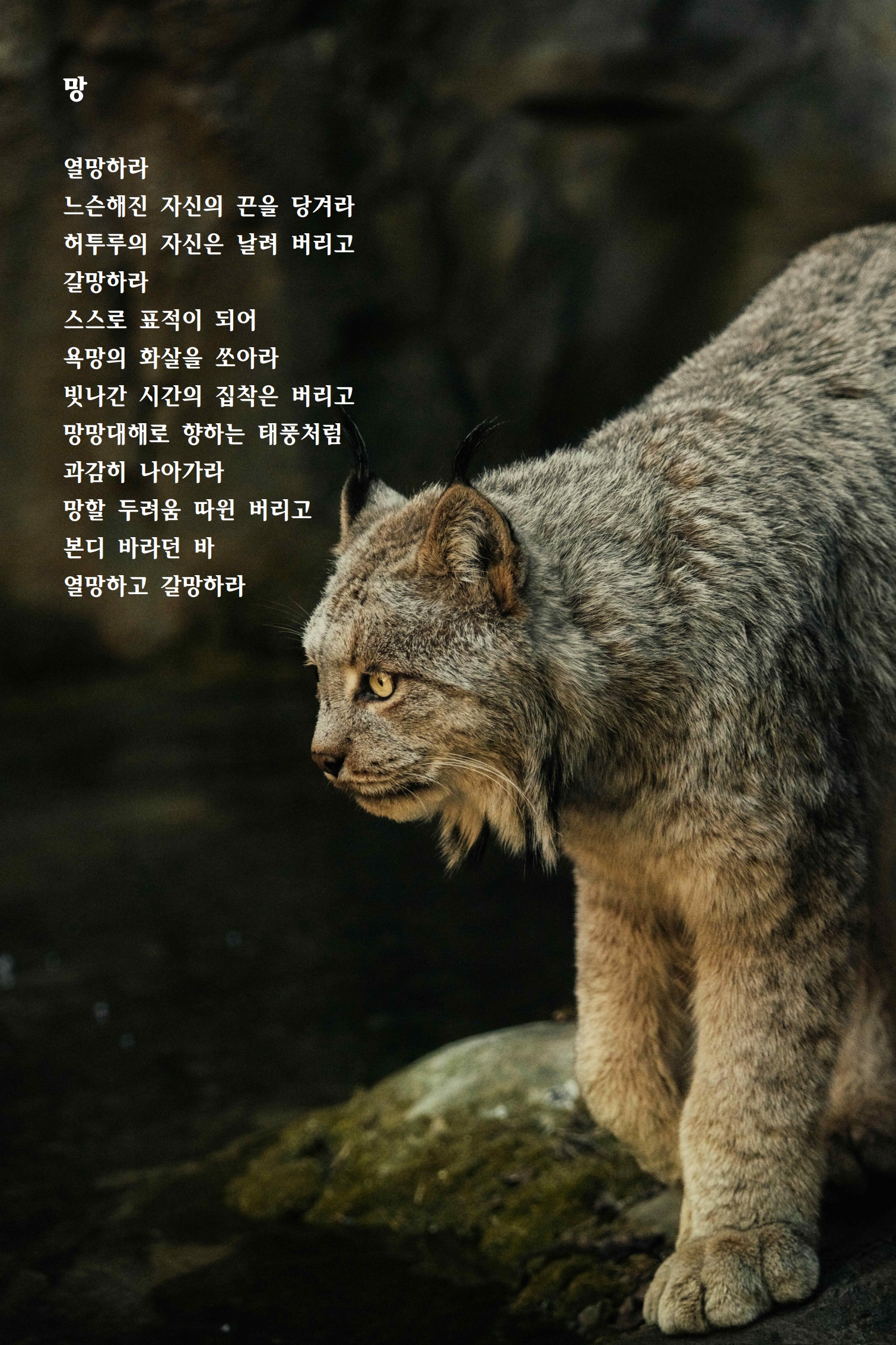 망.jpg
