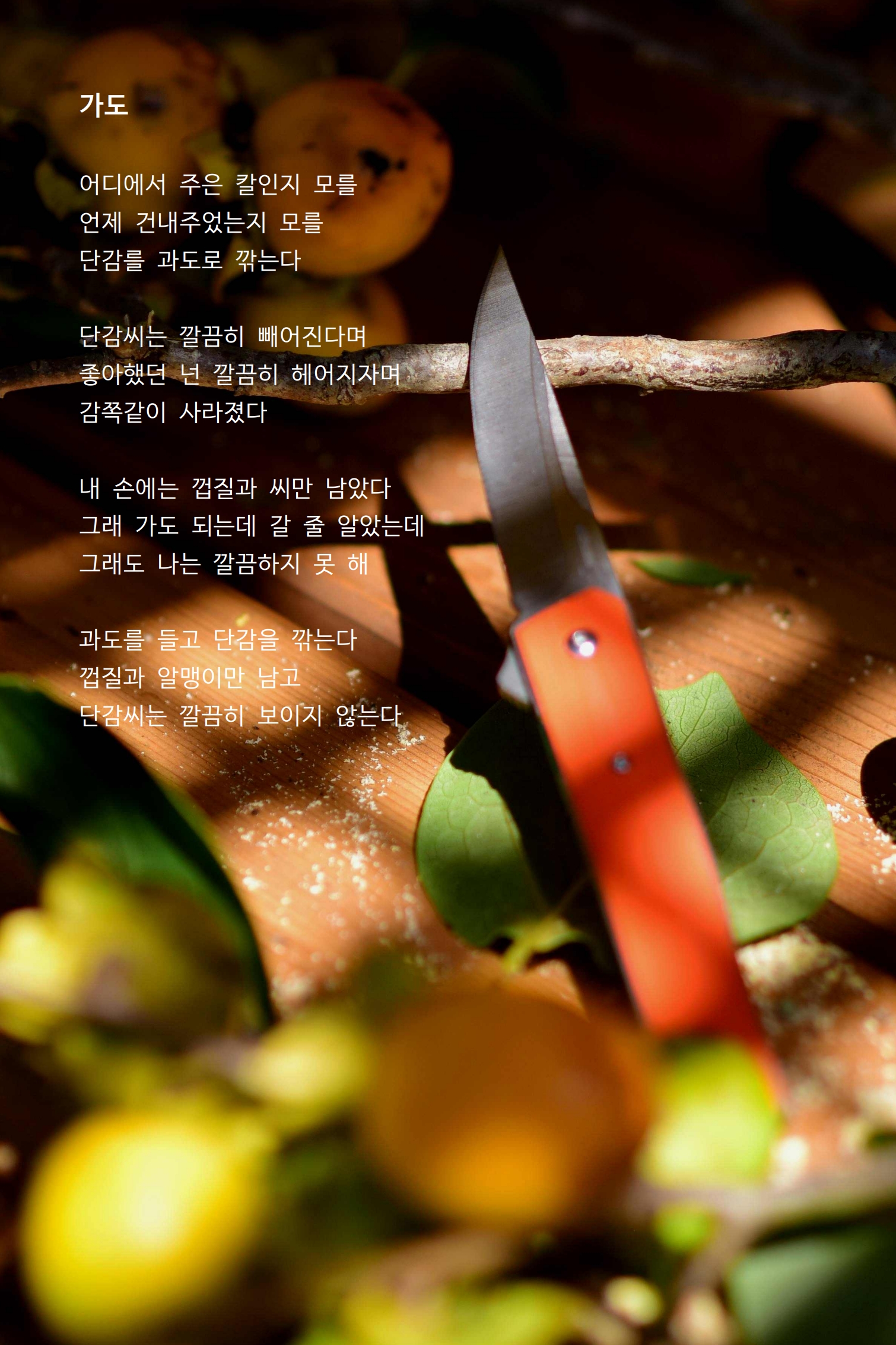 가도.jpg