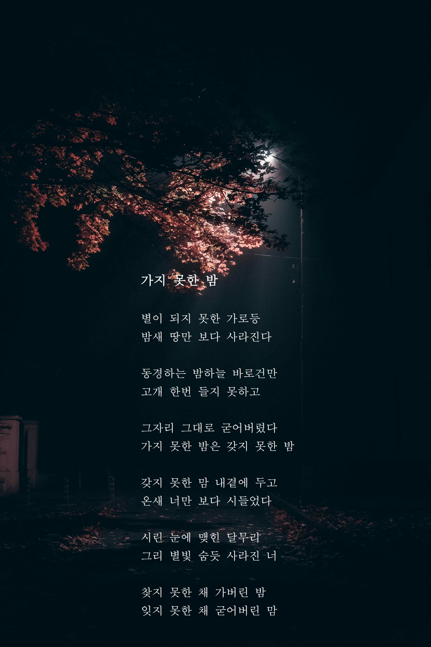 가지 못한 밤.jpg