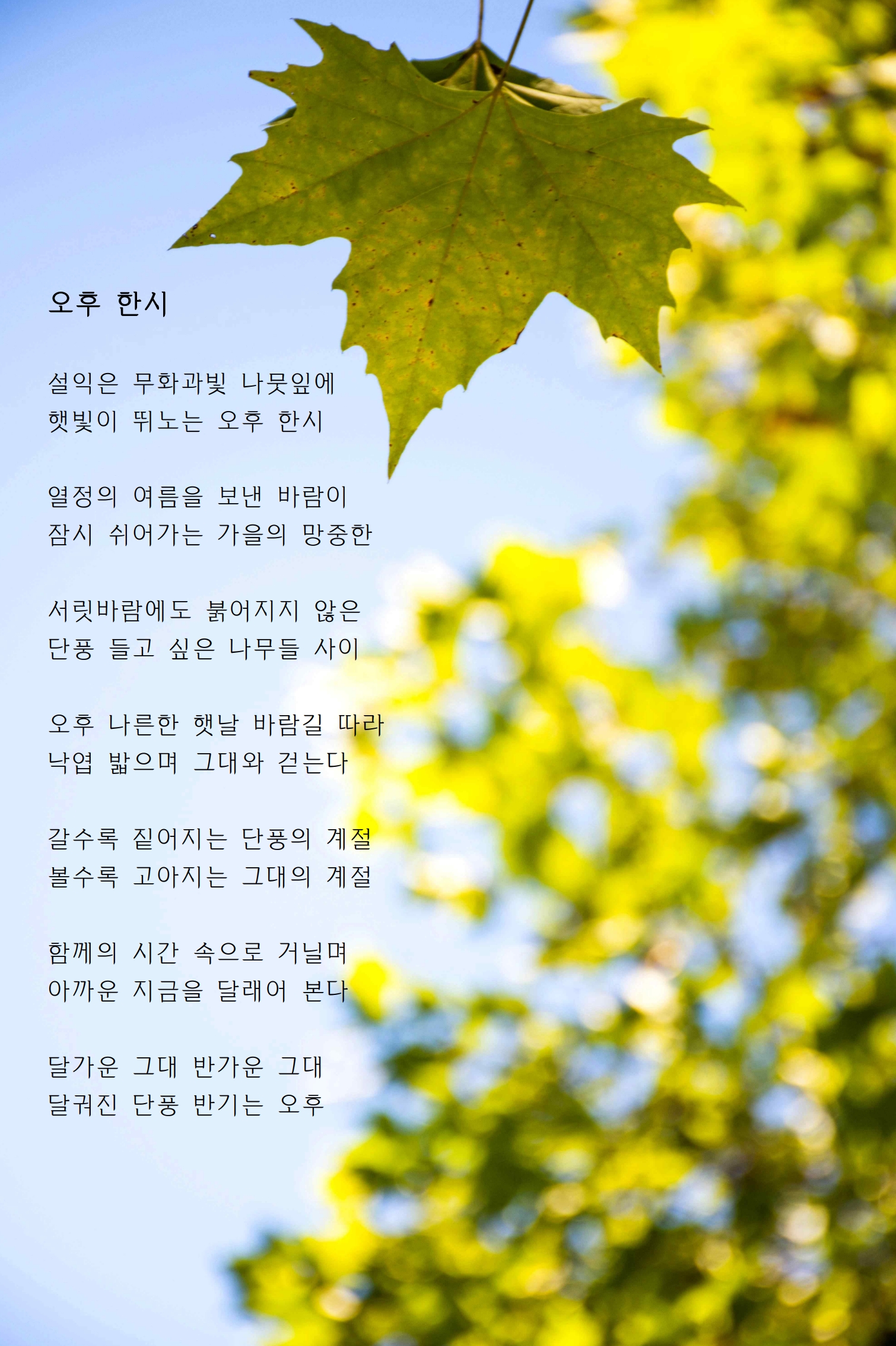오후 한시.jpg