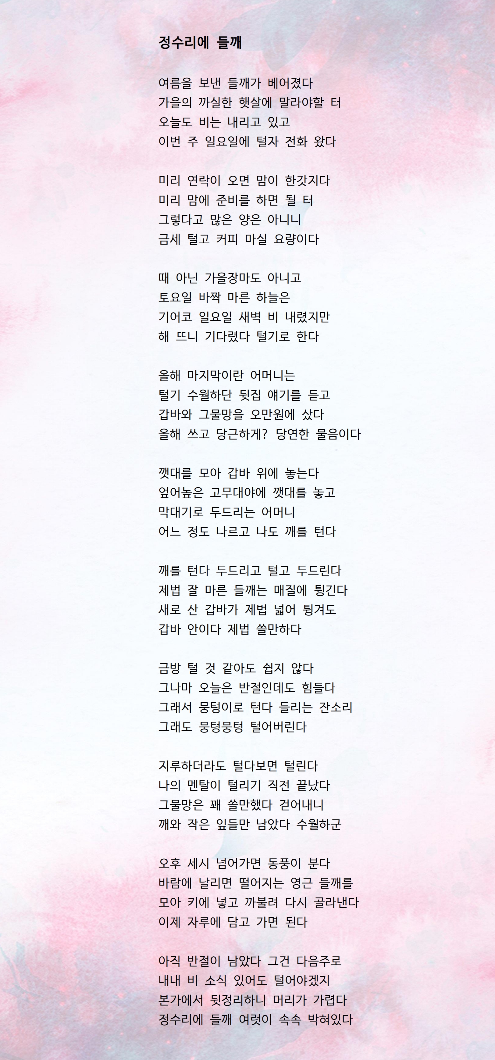 정수리에 들깨.jpg