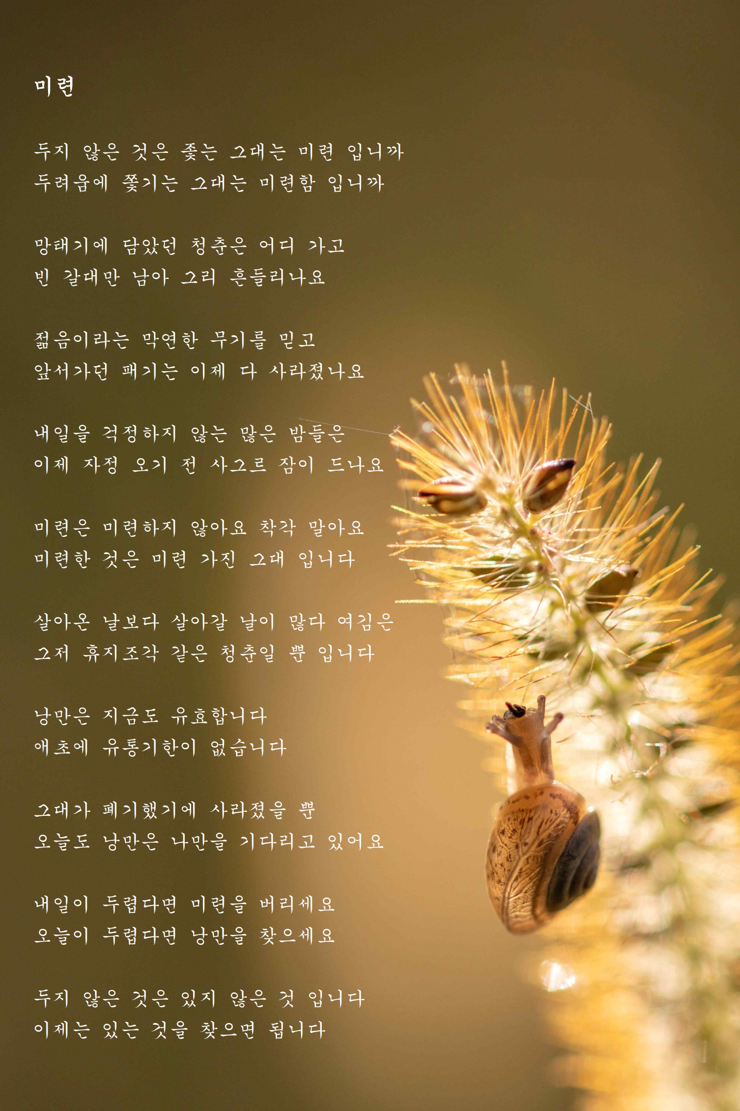 미련.jpg