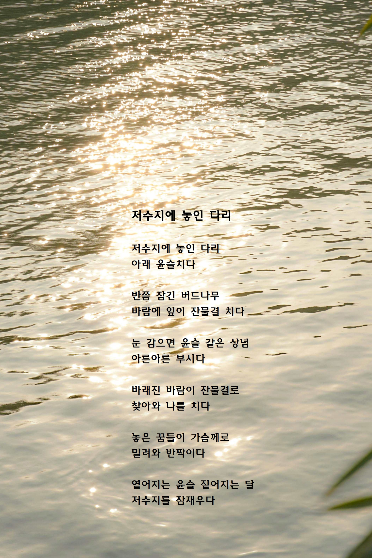 저수지에 놓인 다리.jpg