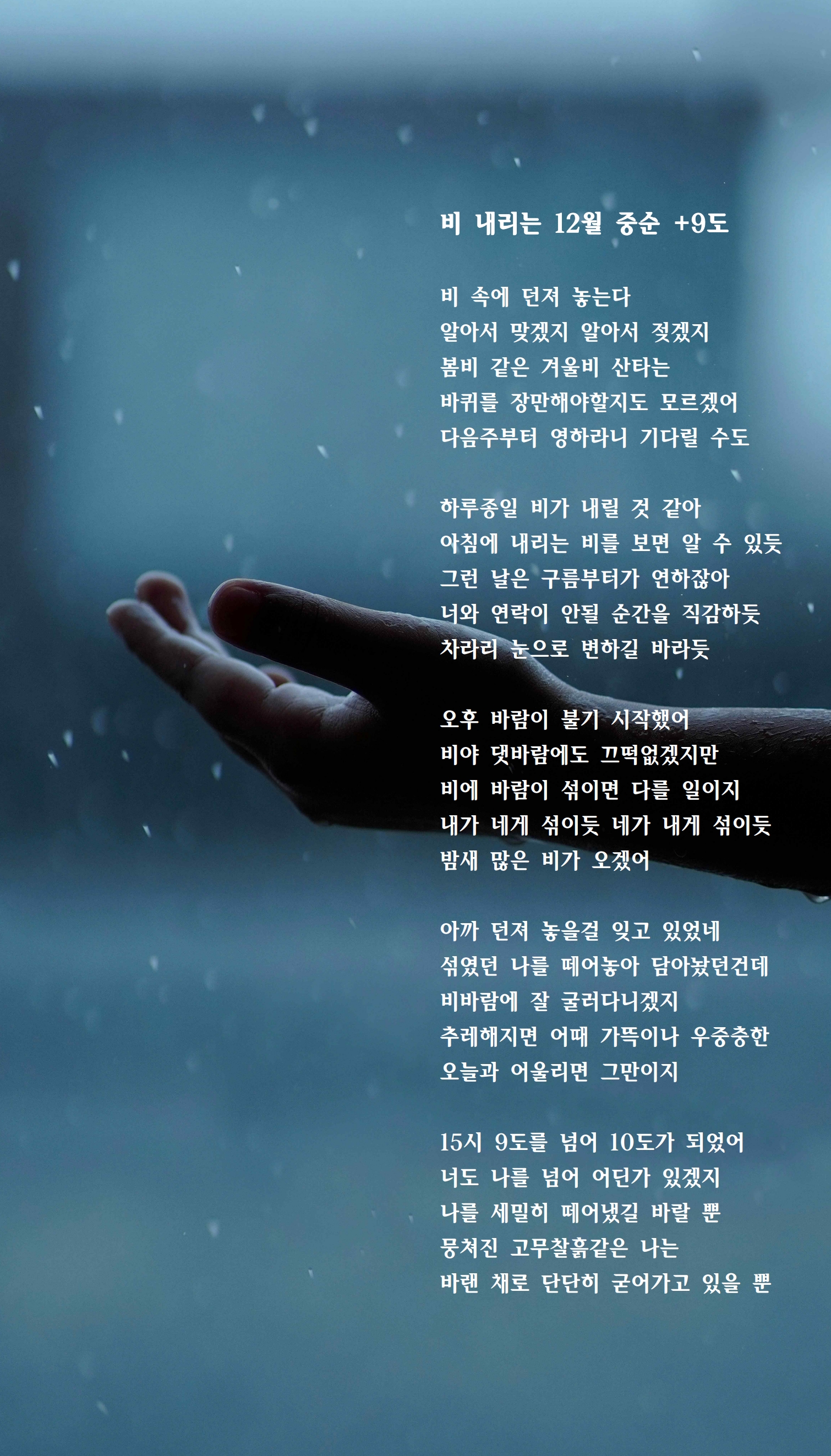 비 내리는 12월 중순 +9도.jpg