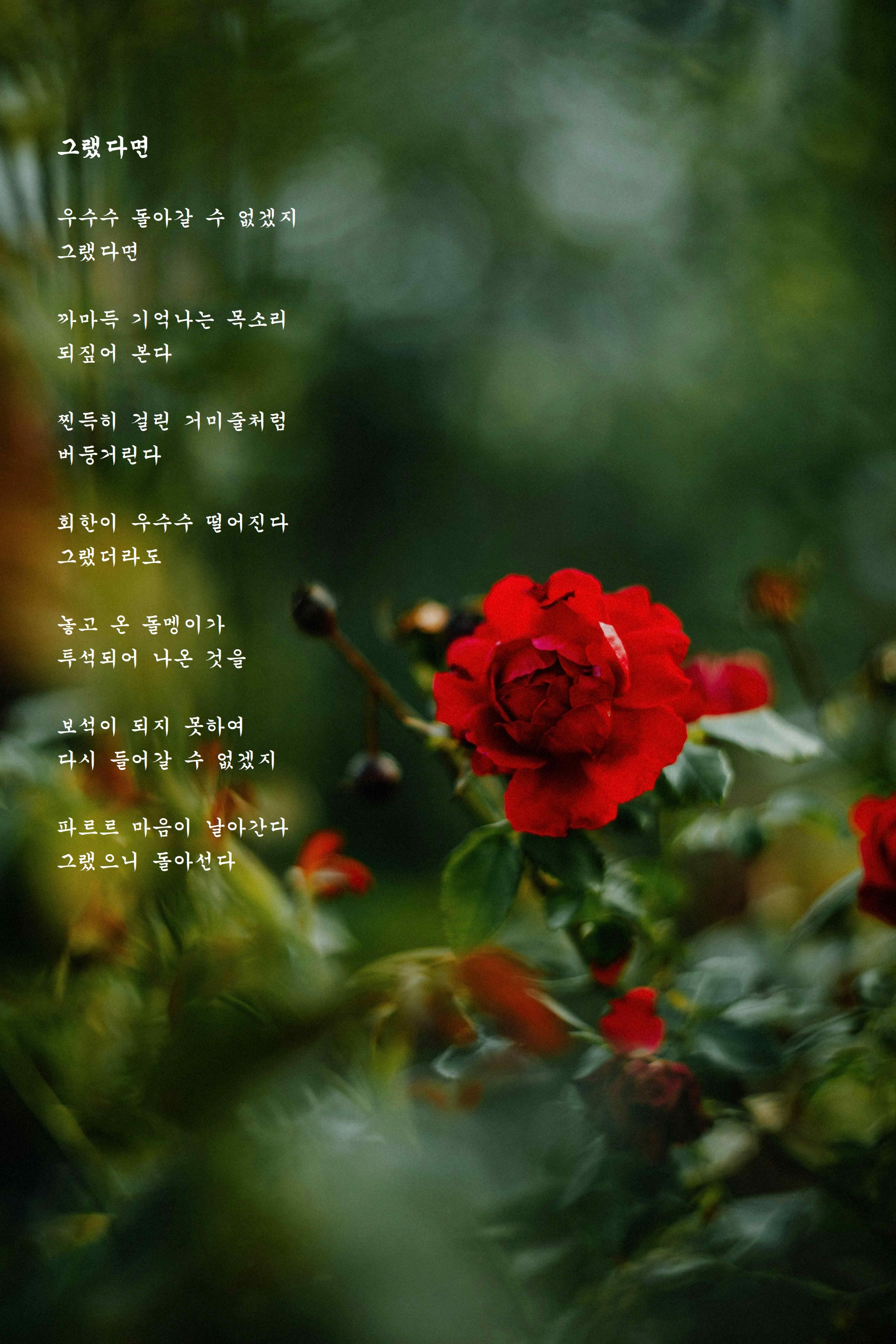 그랬다면.jpg