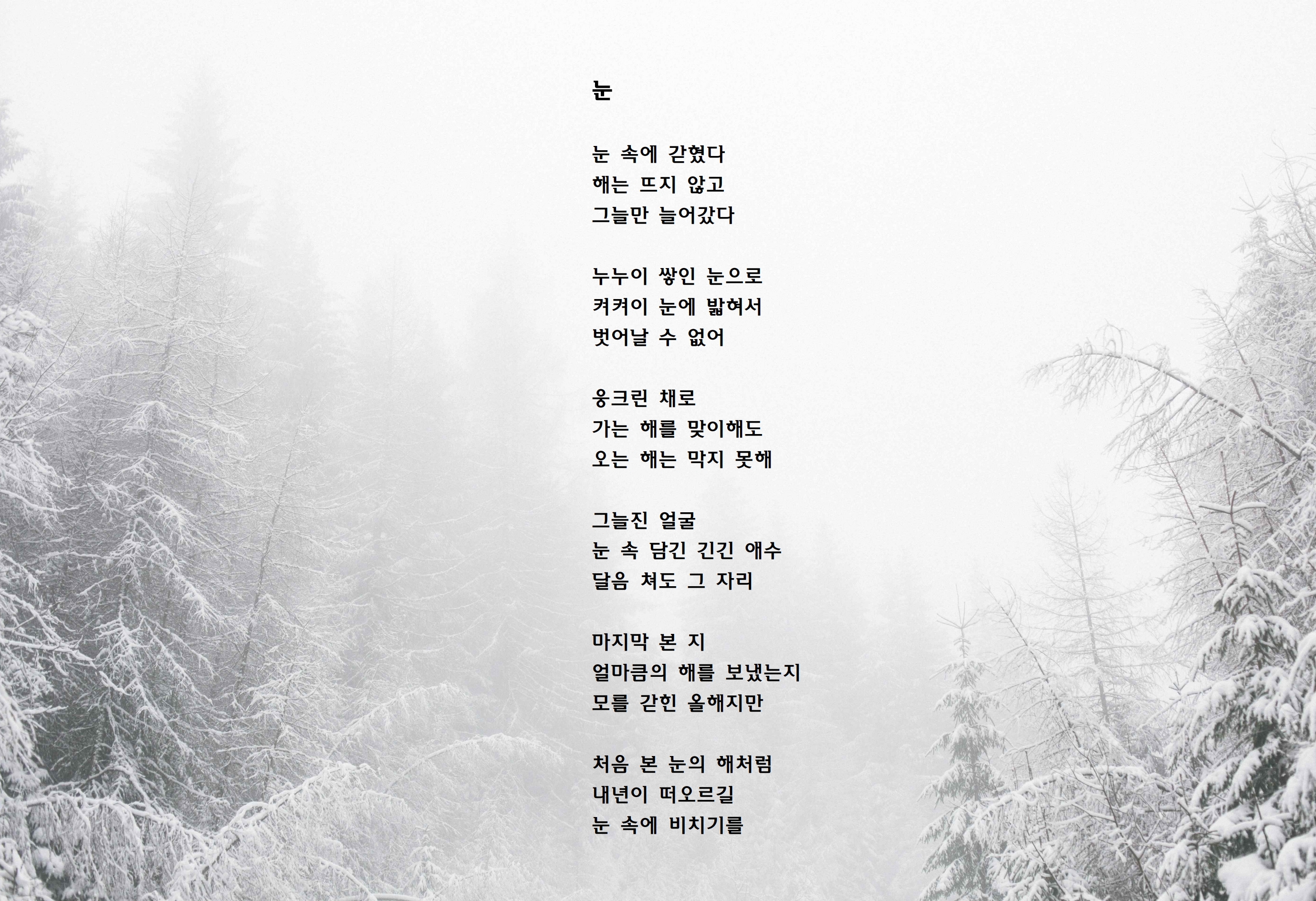 눈.jpg