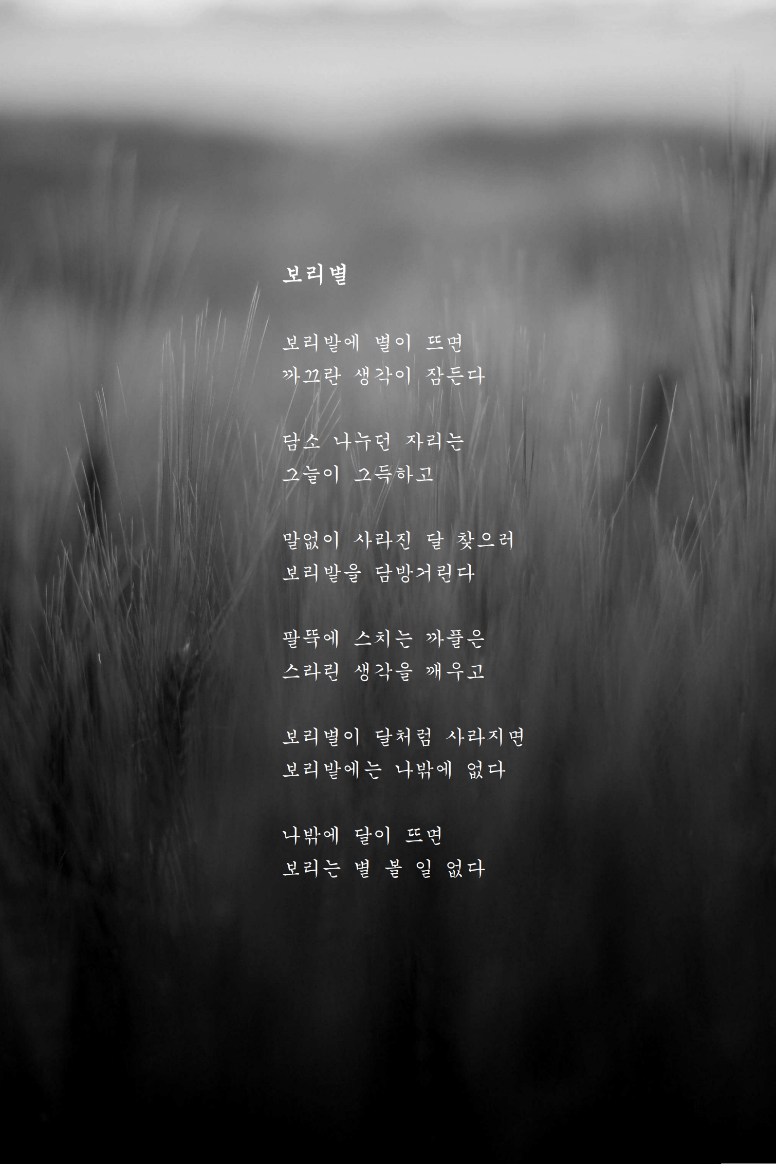 보리별.jpg