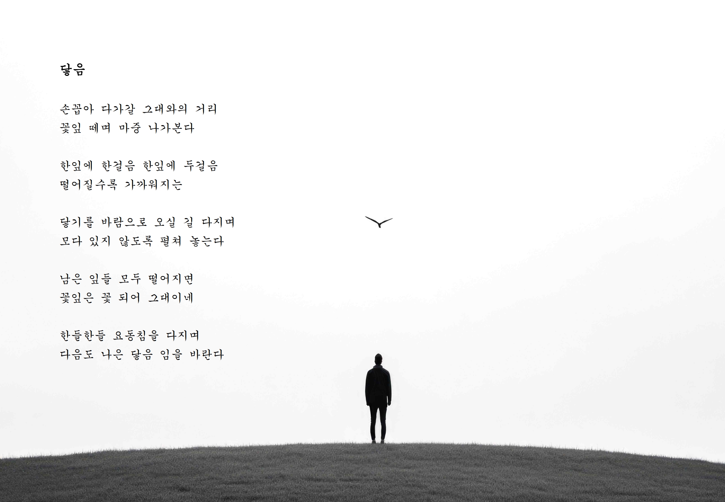 닿음.jpg