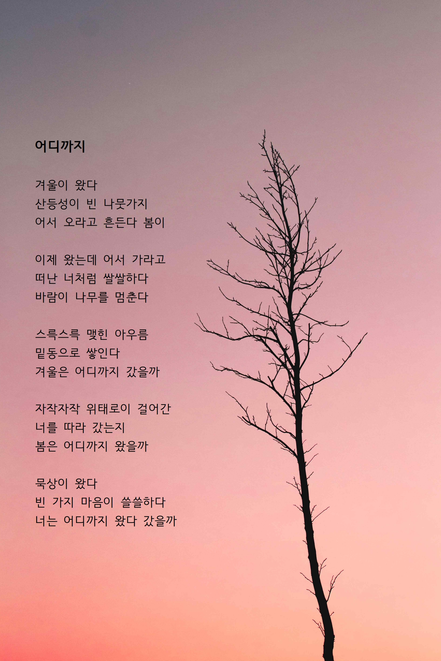 어디까지.jpg