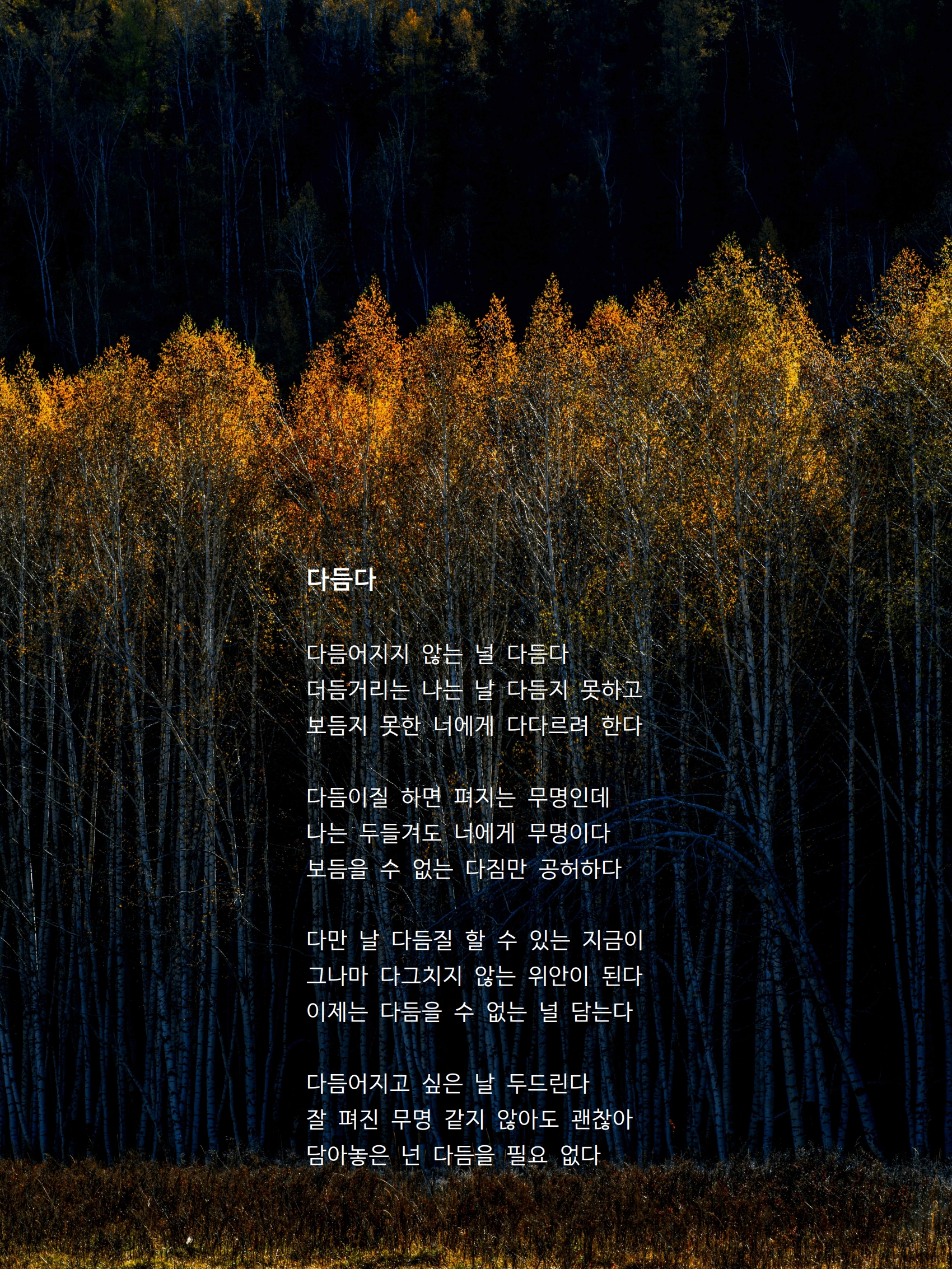 다듬다.jpg