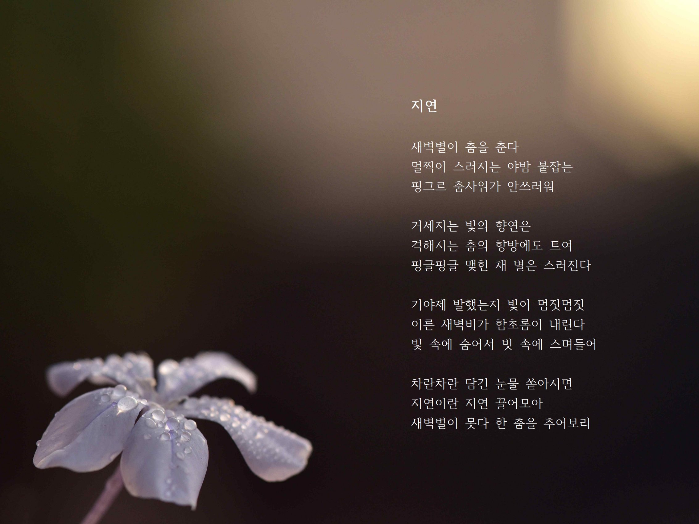 지연.jpg