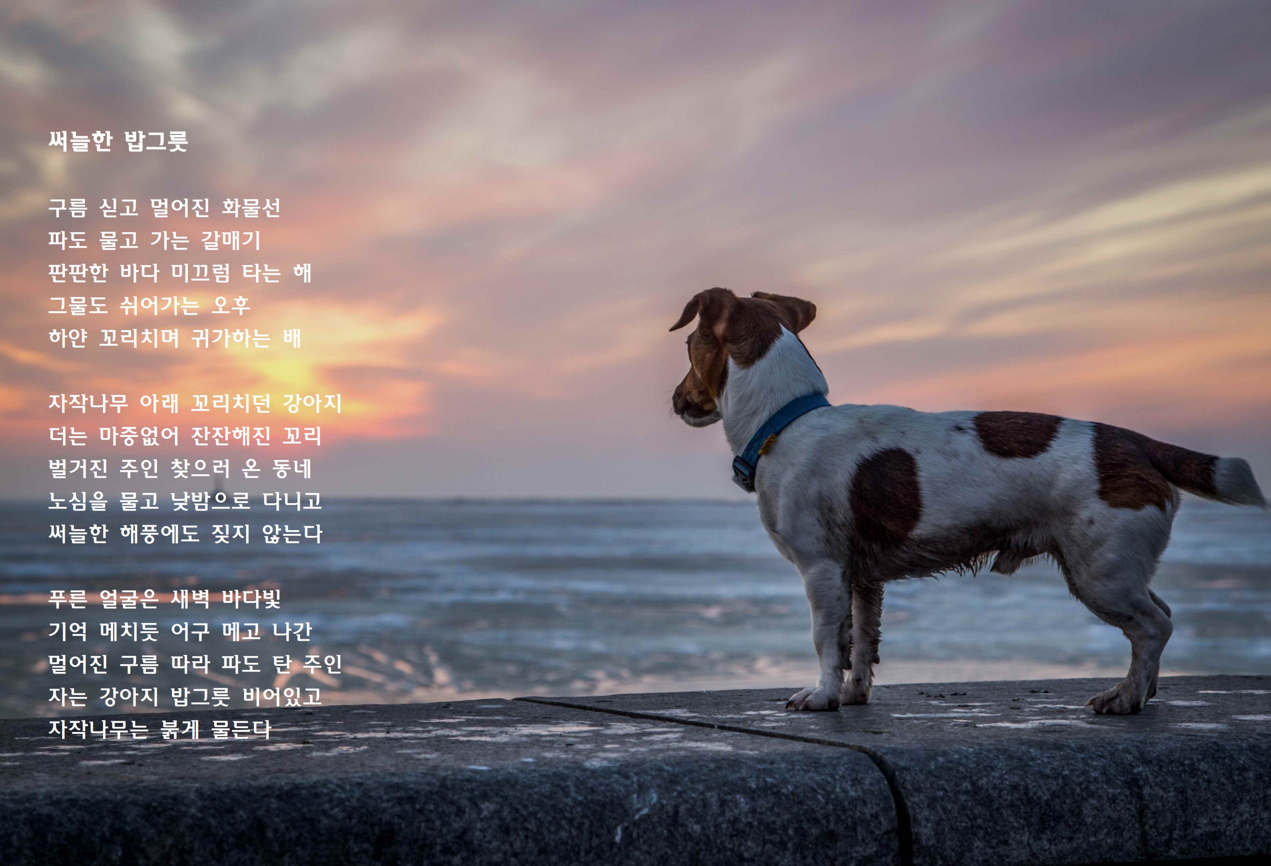 써늘한 밥그릇.jpg